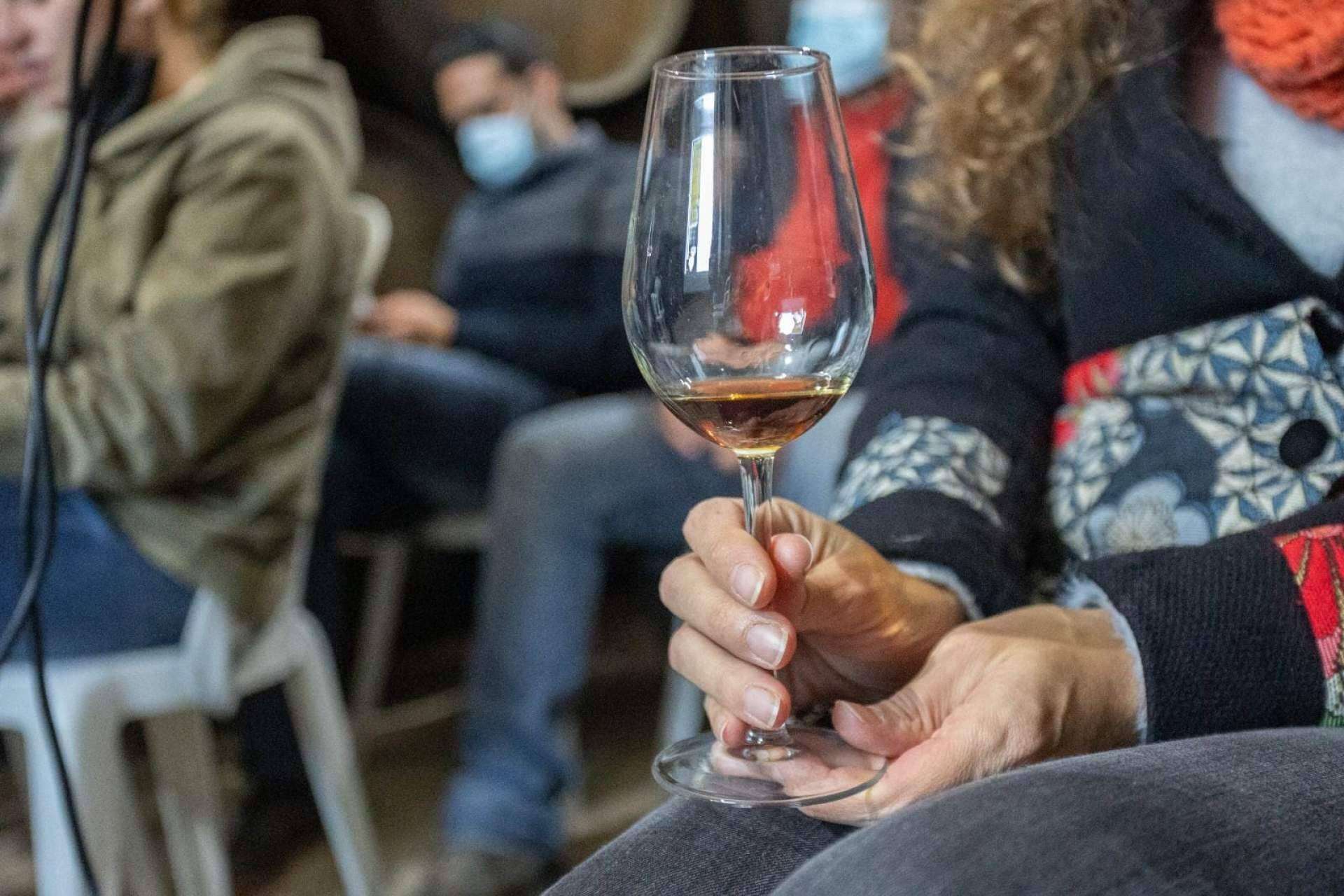 Producción de vino ecológico en España, con Bodegas Robles