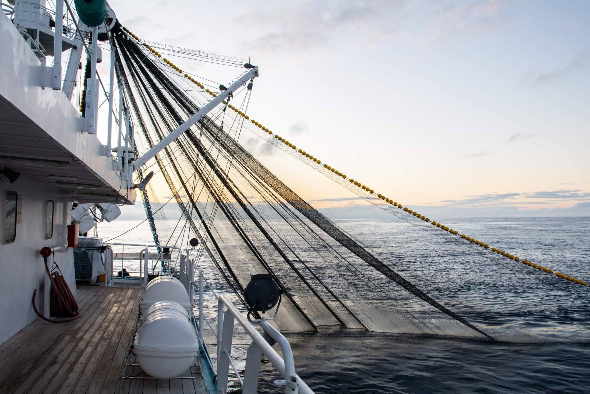 Nova Argonautica ofrece anchor swivels, los sistemas giratorios para anclas de calidad