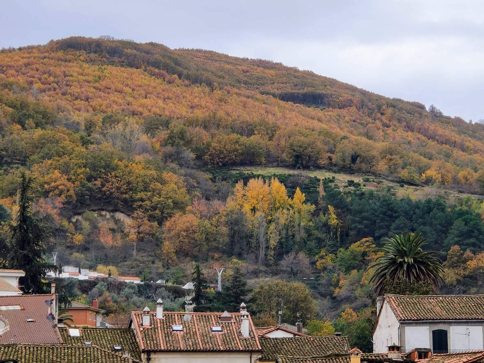 Celebrar el Otoño Mágico en Vive Baños de Montemayor