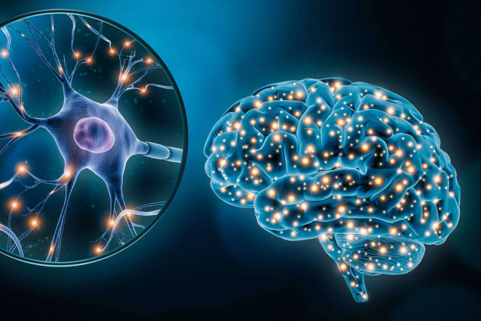 INIMA Rehabilitación está enseñando la importancia de la estimulación cognitiva