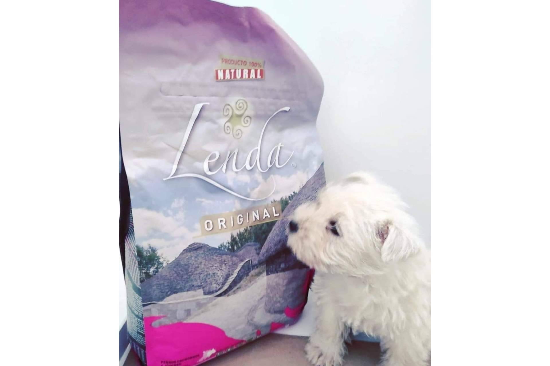 ¿Por qué es importante alimentar correctamente a los cachorros con Lenda?