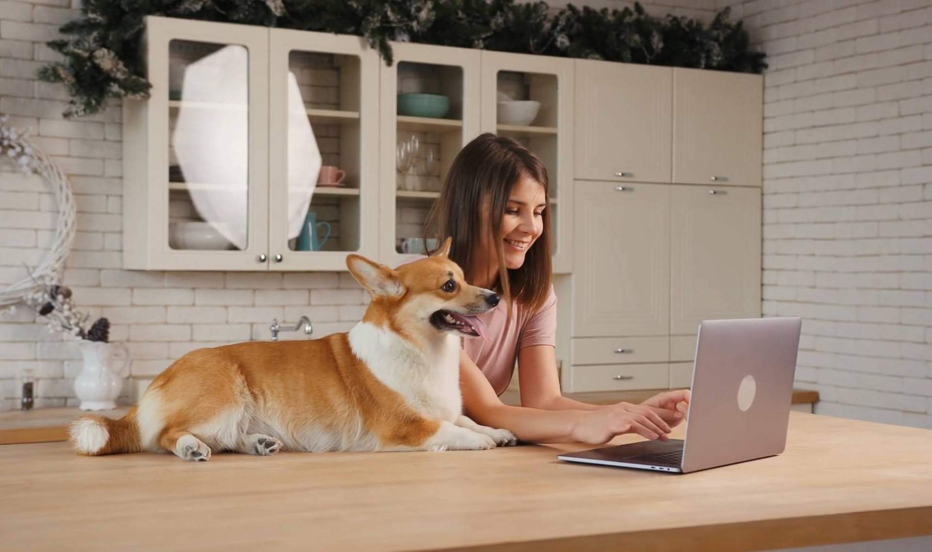 'Buscamos una agencia de marketing completa y con experiencia, y la encontramos', asegura Wolves Legacy