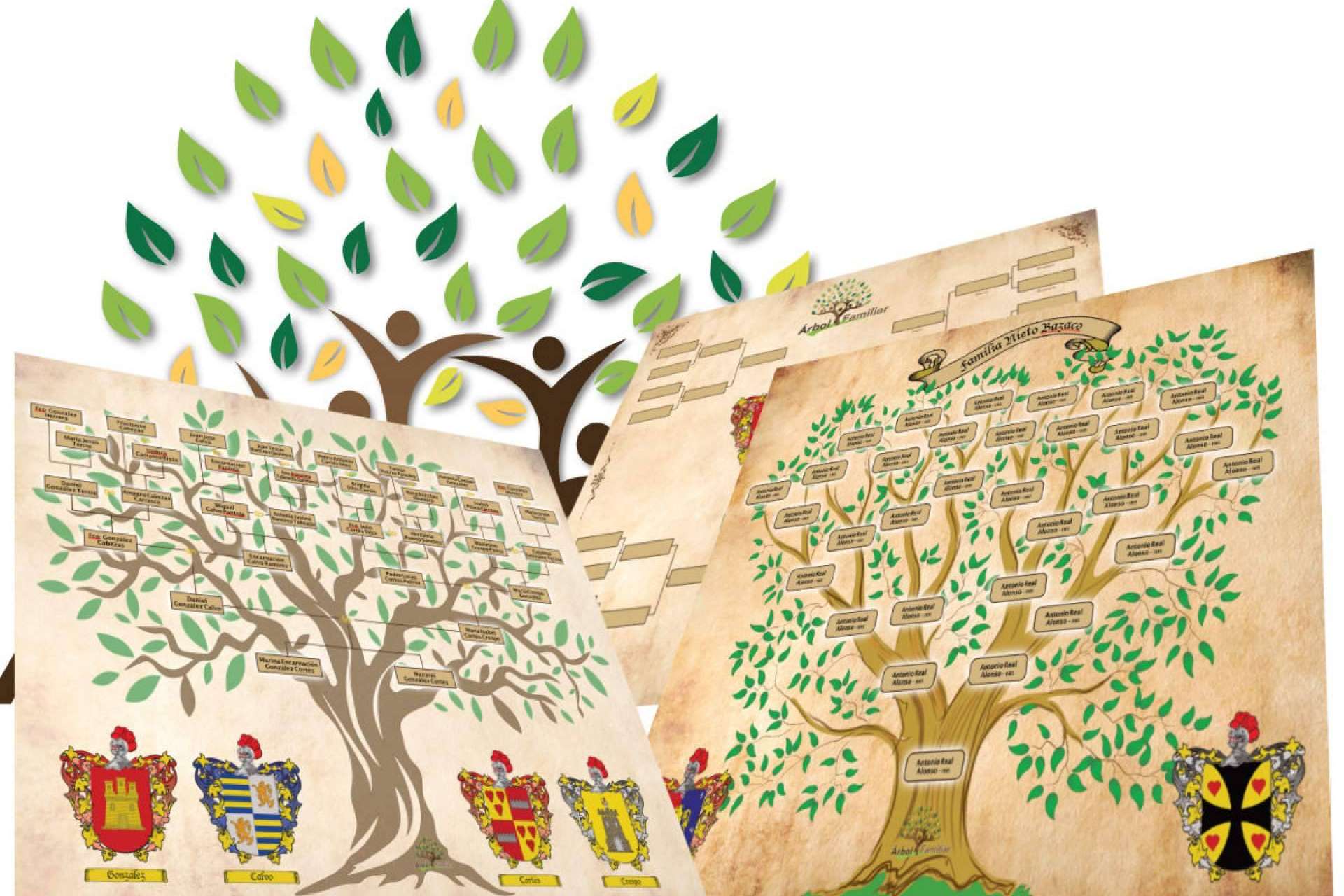 Tienda Heráldica presenta sus árboles familiares impresos en láminas o lienzos
