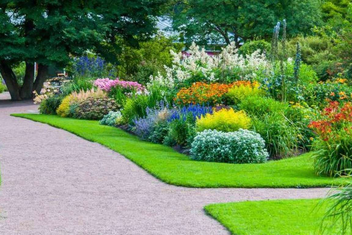 Los productores y fabricantes de césped artificial de Albergrass