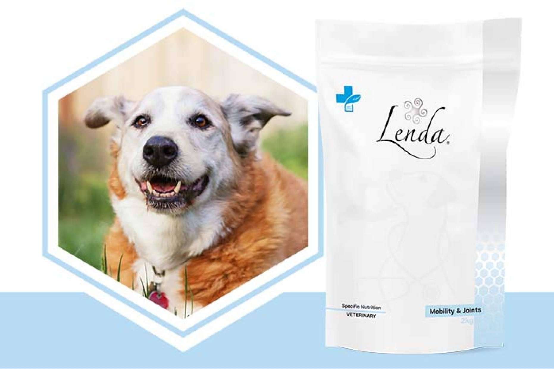 Lenda VET Nature ayuda a la salud articular canina