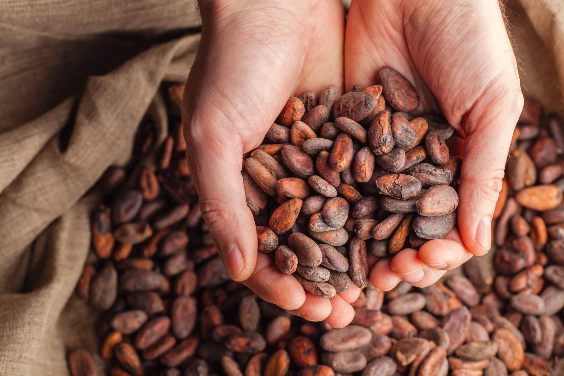 La historia del cacao, de método de pago en siglos pasados a token en la actualidad