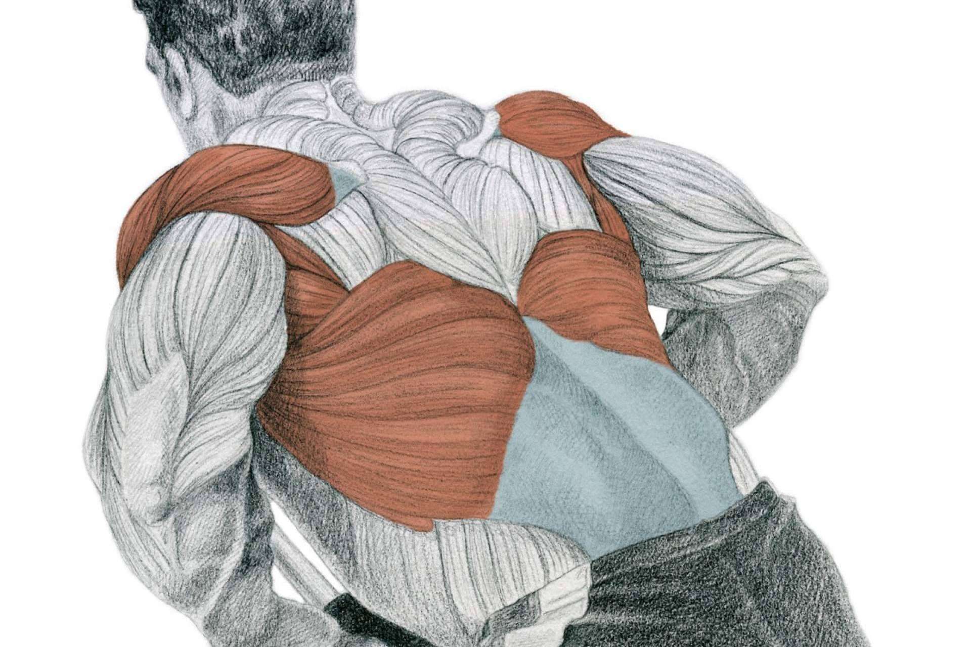 La enciclopedia de musculación de Óscar Morán se convierte en un referente a nivel mundial