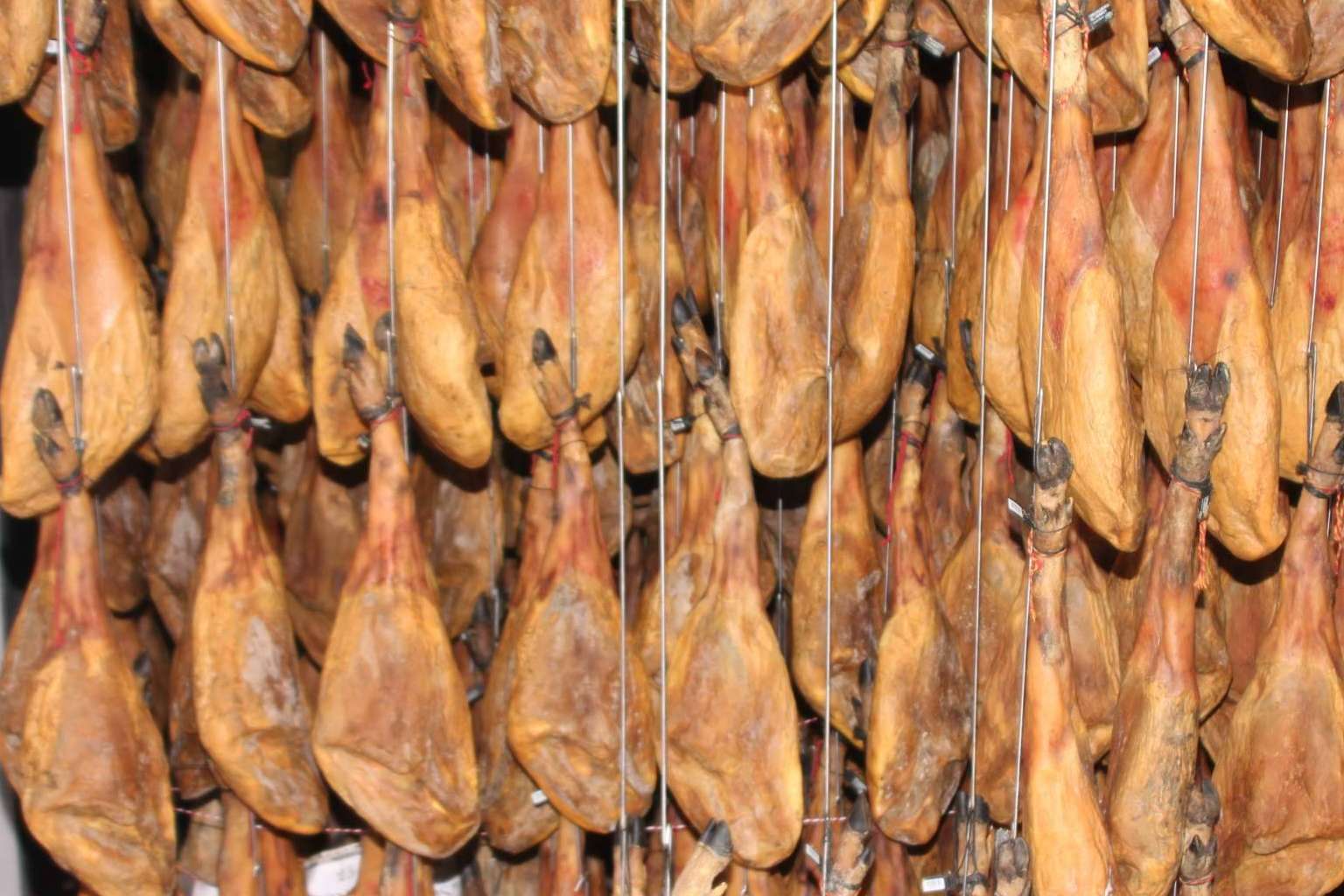 ¿Cuáles son los beneficios del jamón ibérico de bellota para la salud cardiovascular?, por País de Quercus