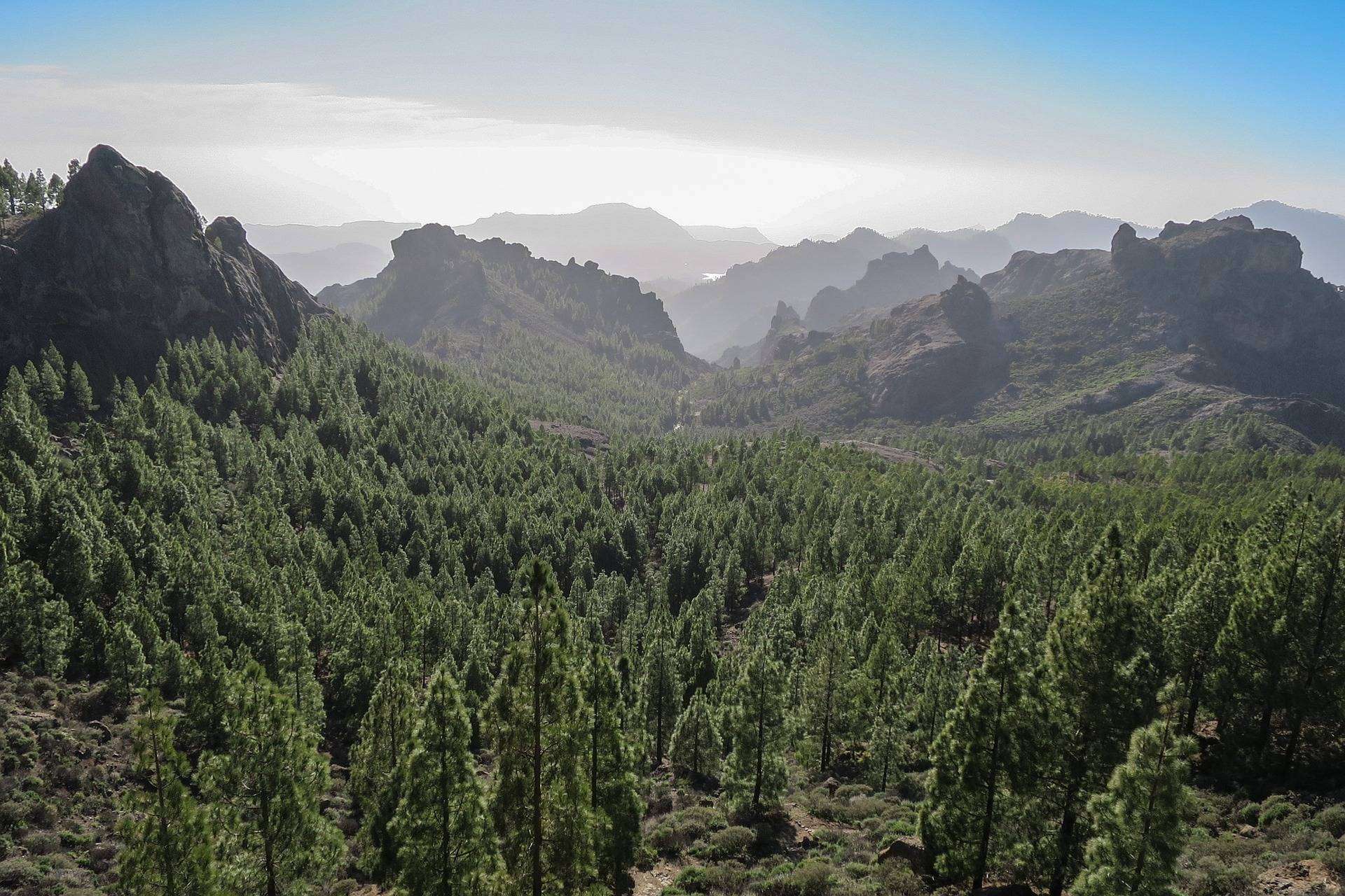 ISholidays.com, disfrutar de unas vacaciones en Gran Canaria en cualquier época del año