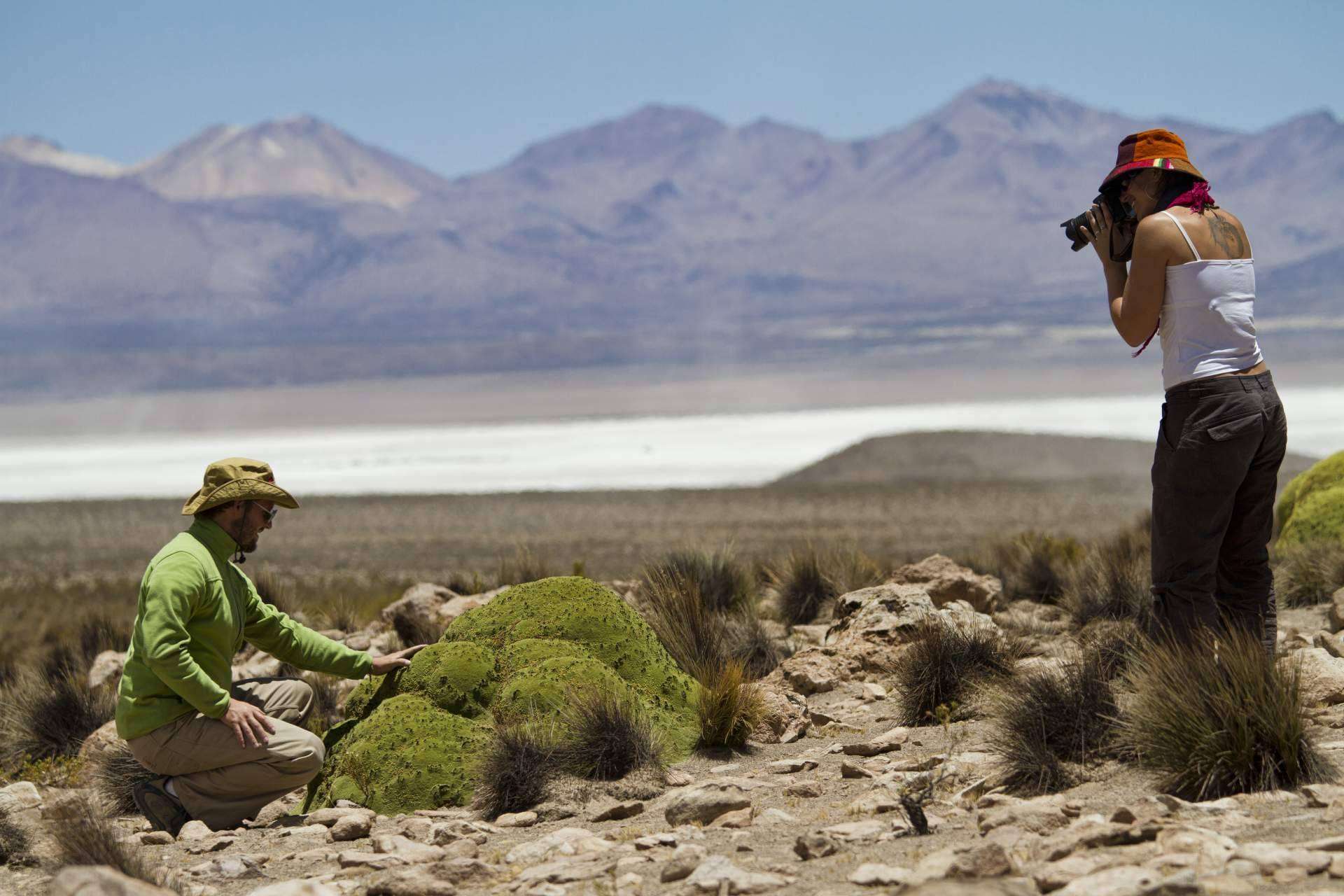 Mayuru Tour explica que los viajes a Chile son una elección en auge para los turistas