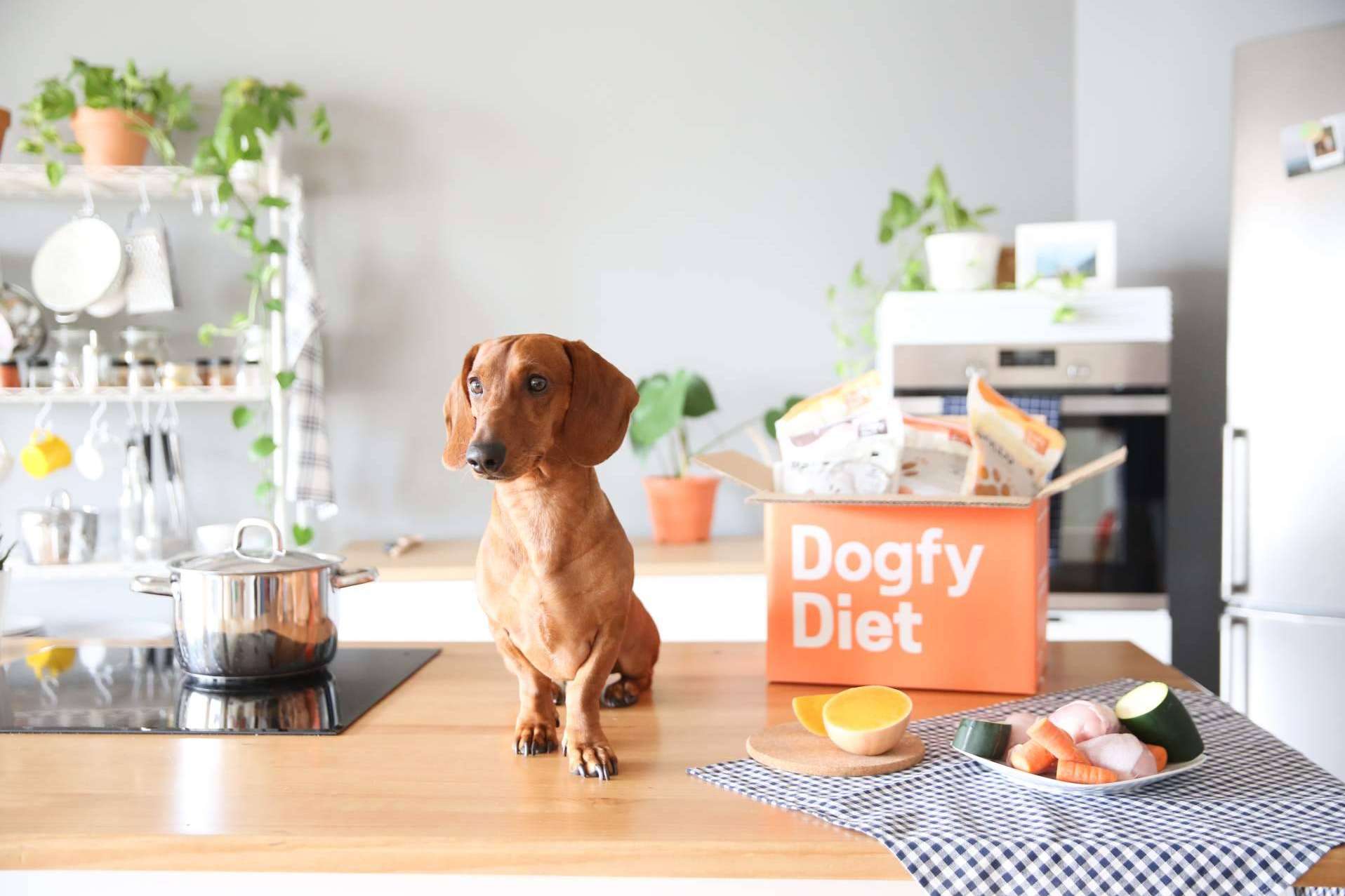 Dogfy Diet brinda una opción de alimentación natural para perros