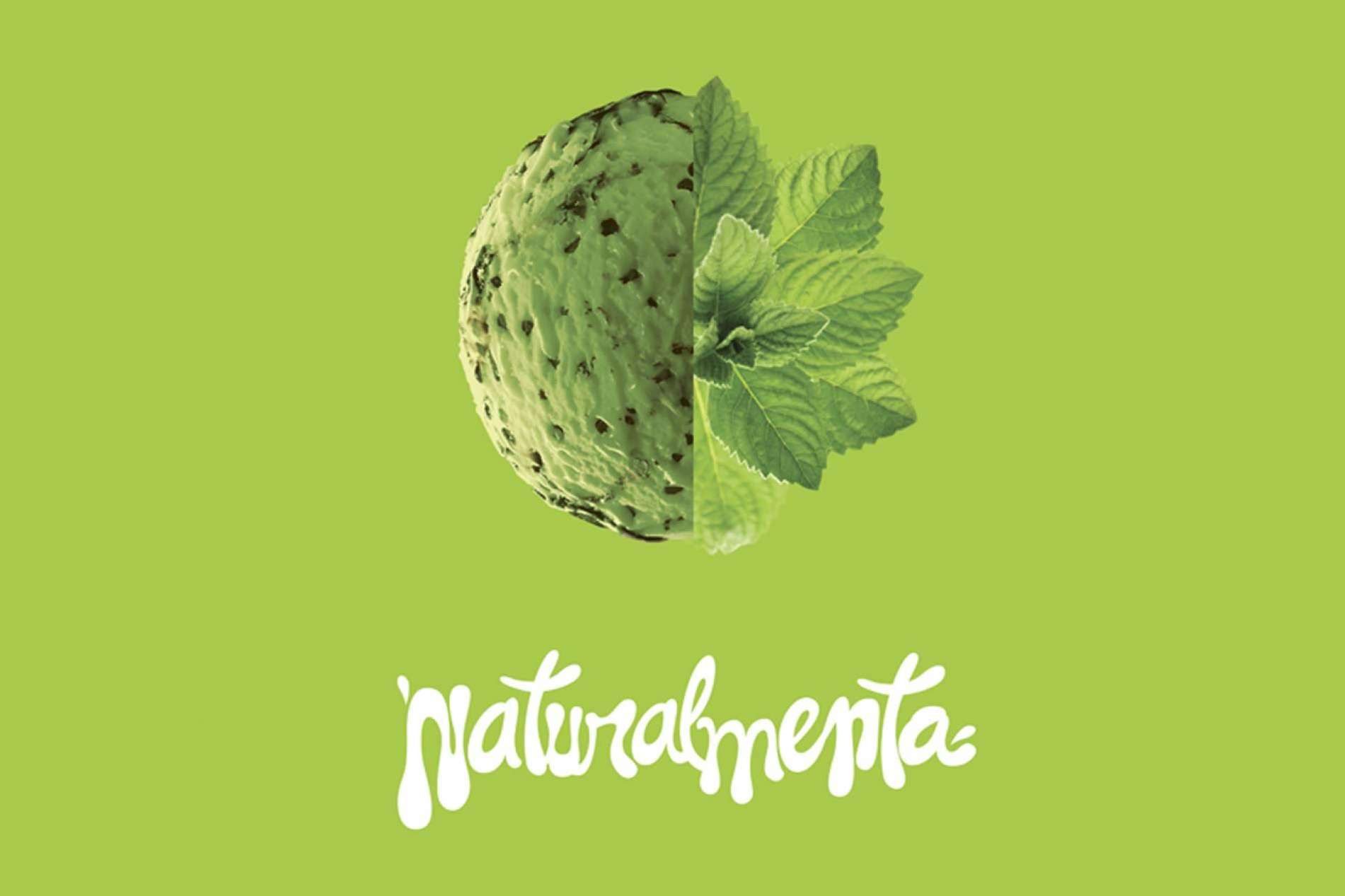 adn studio, una agencia de comunicación que se distingue por su capacidad de diseñar una campaña de publicidad creativa