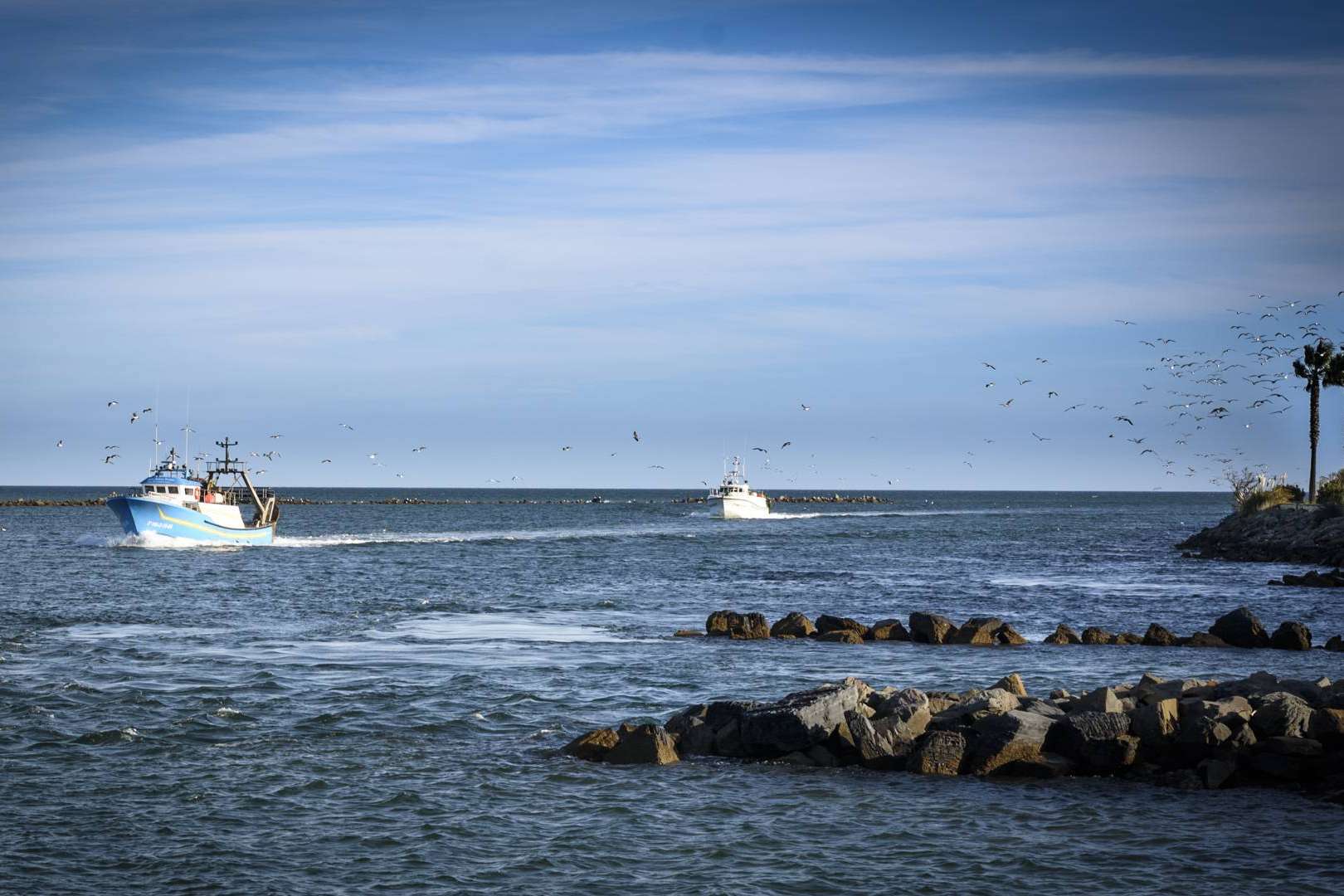 Venta de pescados y mariscos frescos con Lonja de Ayamonte