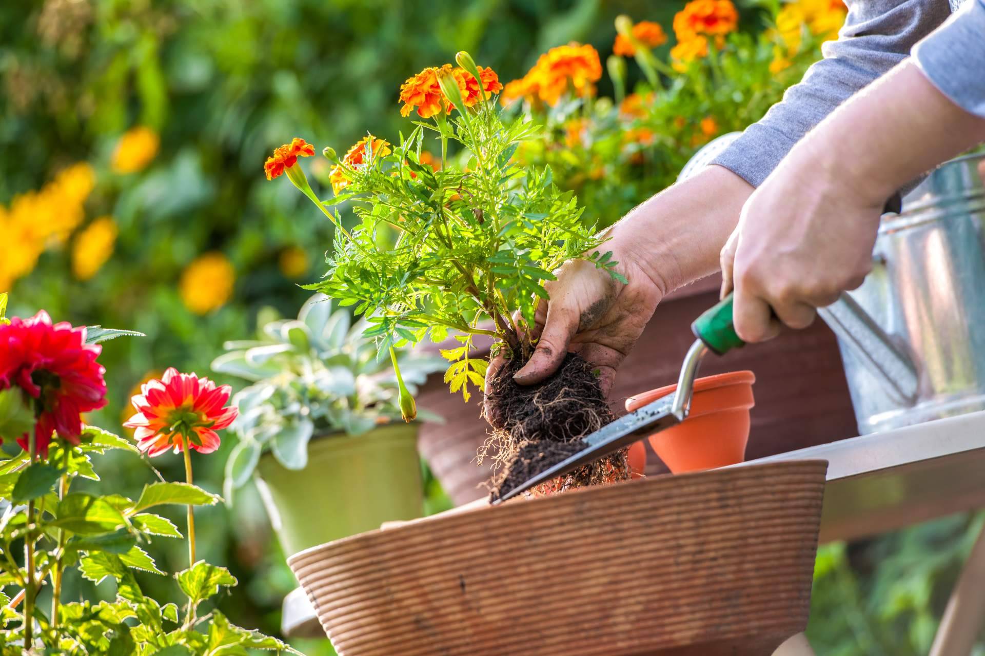 Accesorios para jardín sostenibles, funcionales e innovadores con Nova Guada