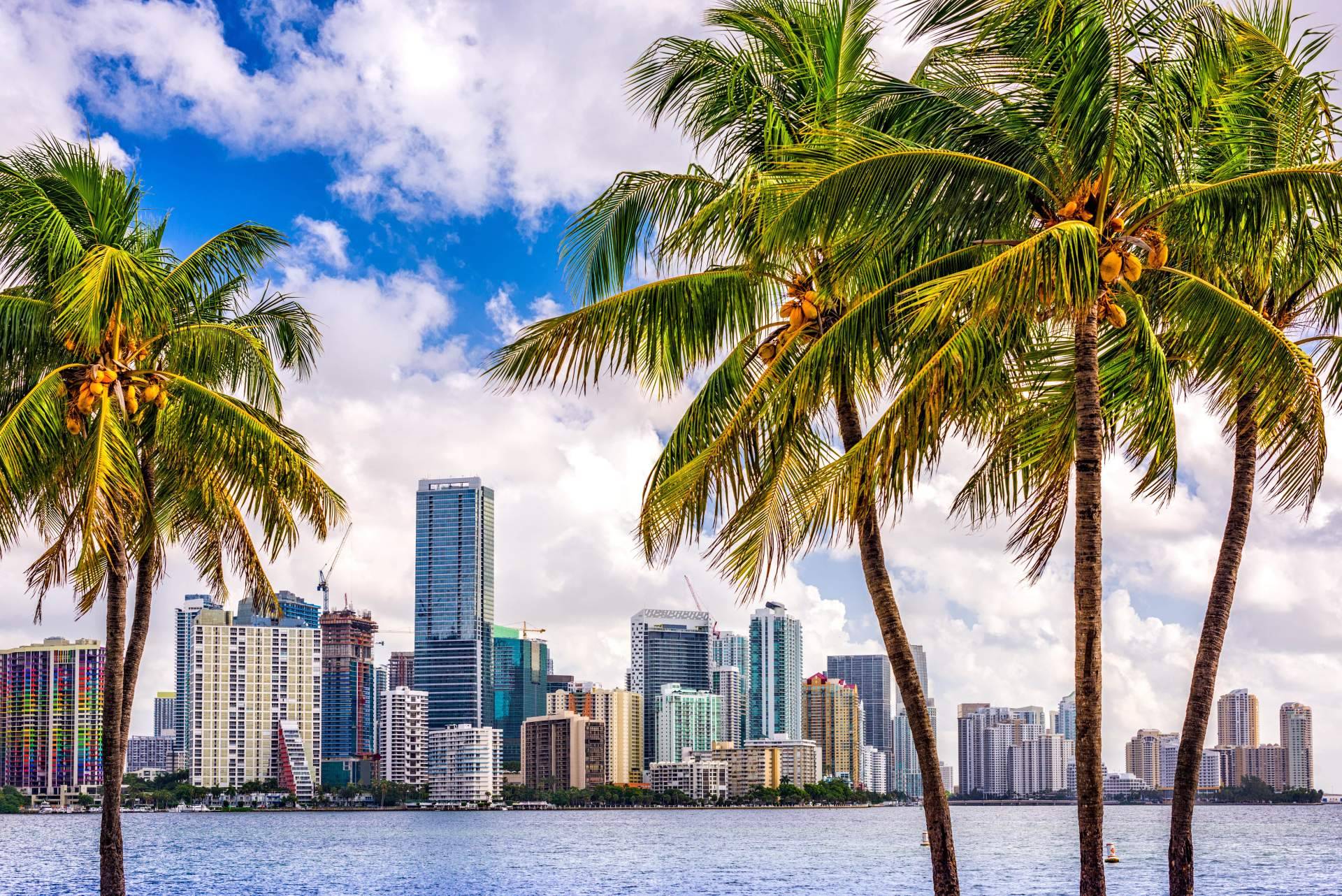 Dónde y por qué alquilar casas en Miami, con UTG Miami