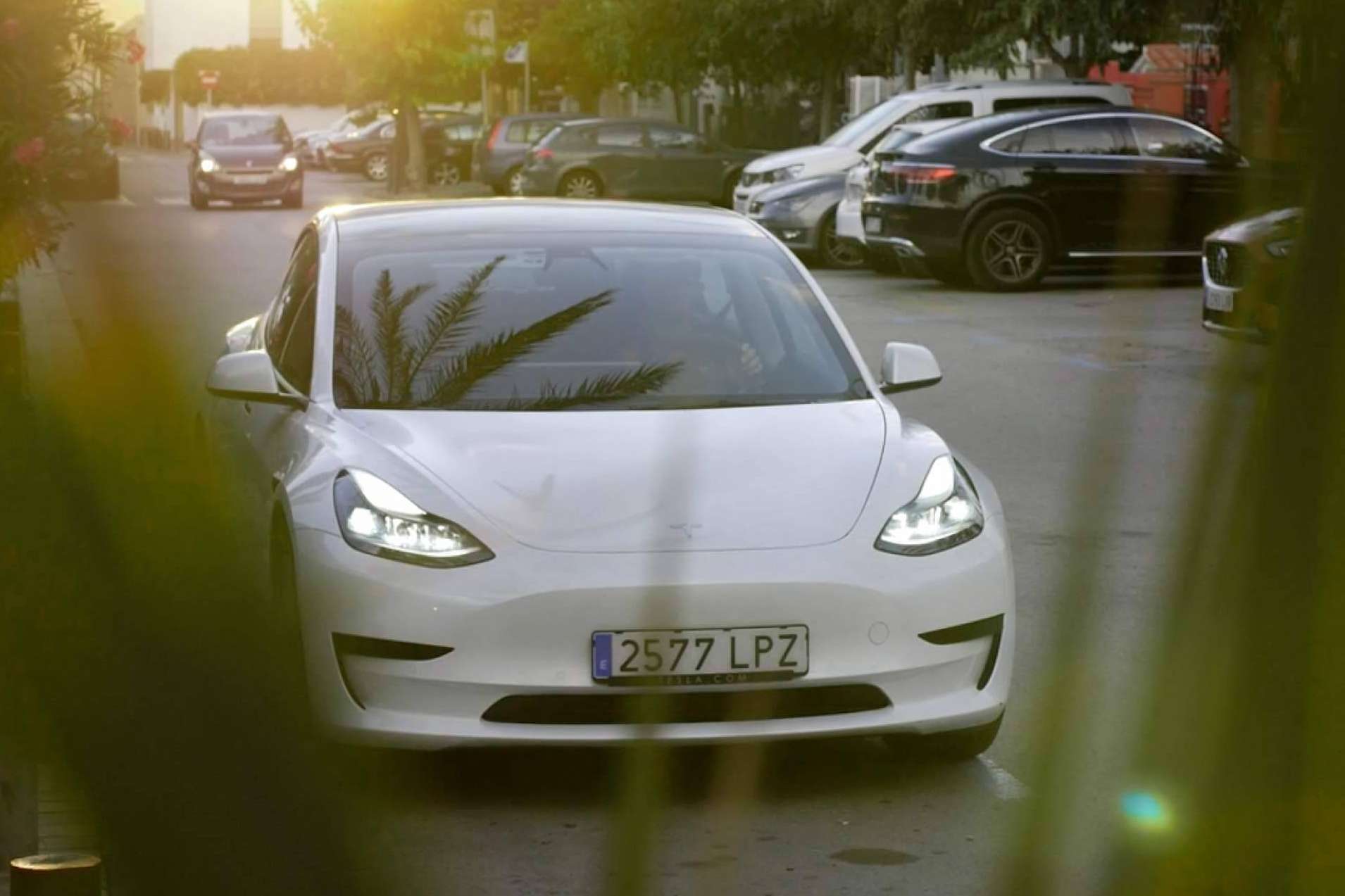 Future Drive es una empresa de conducción eléctrica premium con flota Tesla que está revolucionando el mercado