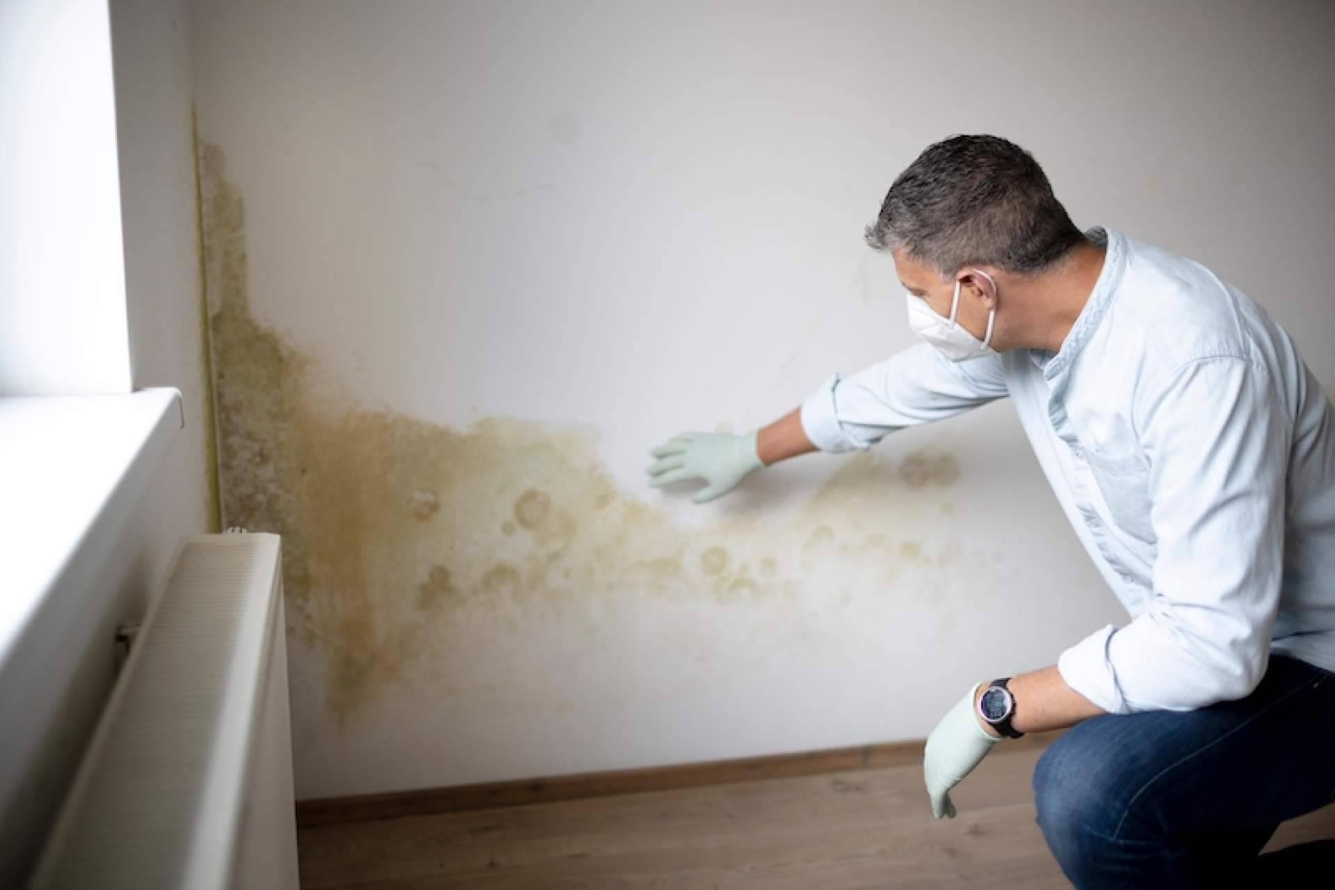 Ventajas de los productos antihumedad Humydry