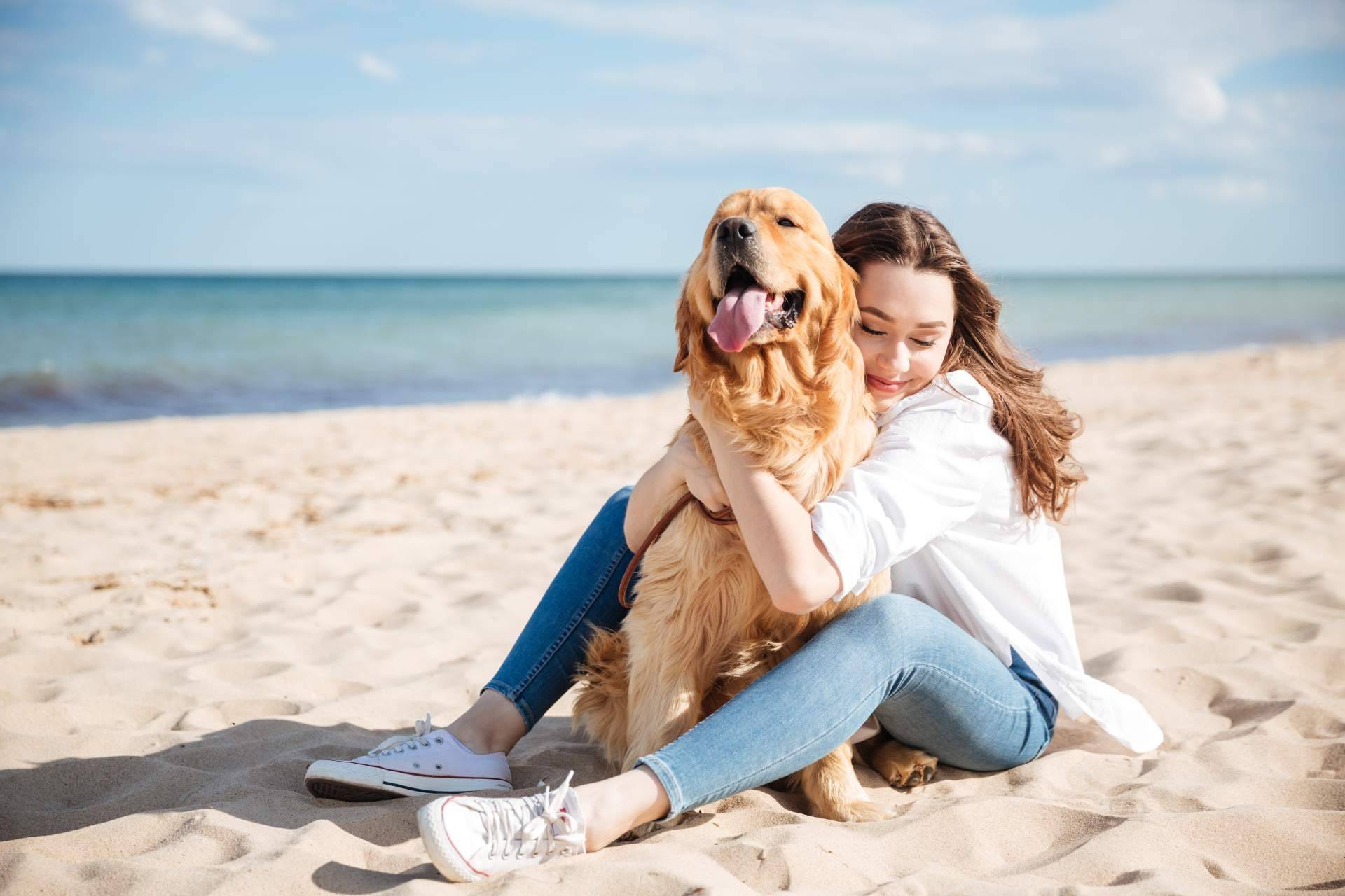 Adoptar perros en Valencia de forma segura y responsable