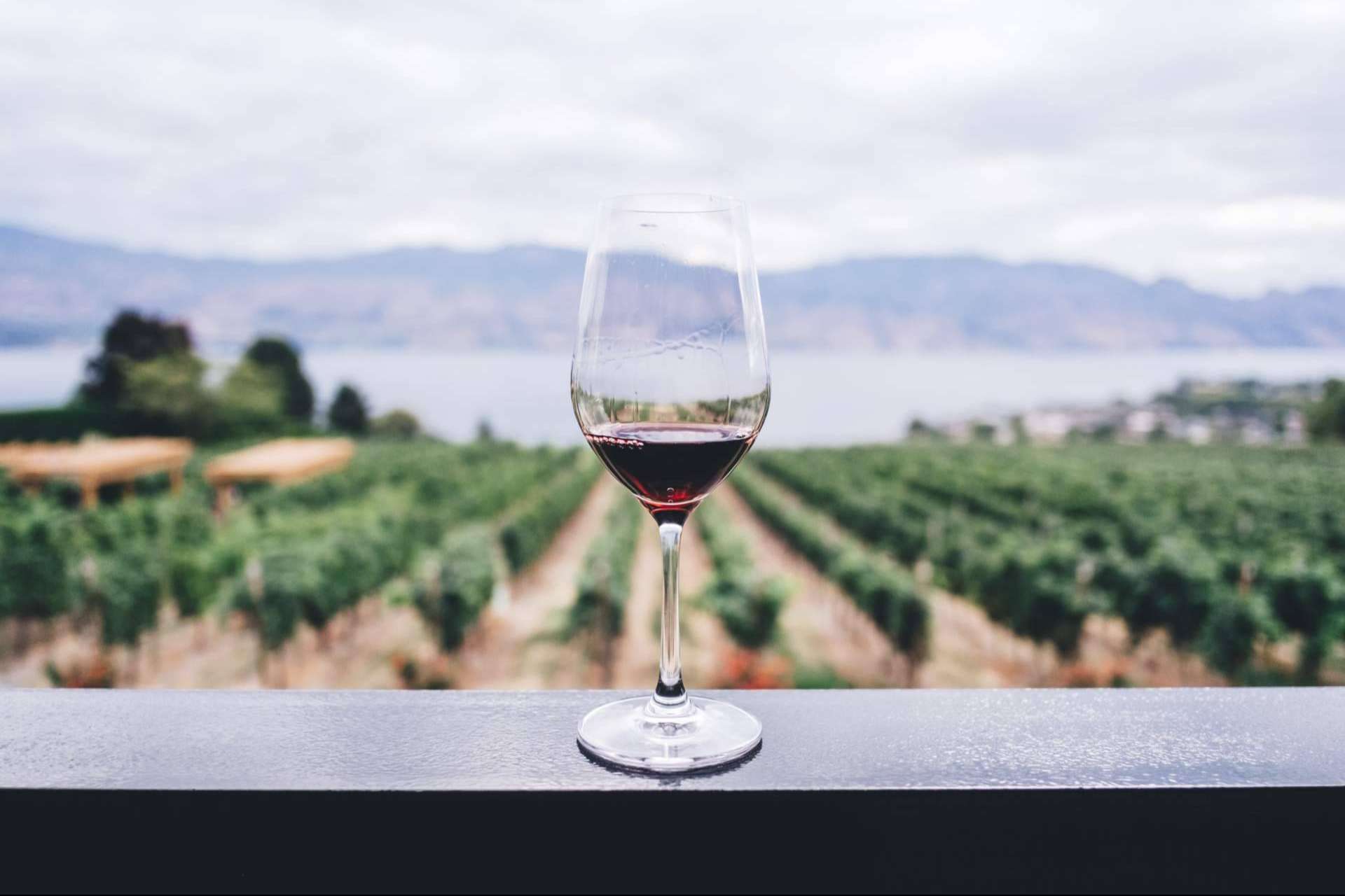 Catas de vino en la Provenza Francesa con Planetazur