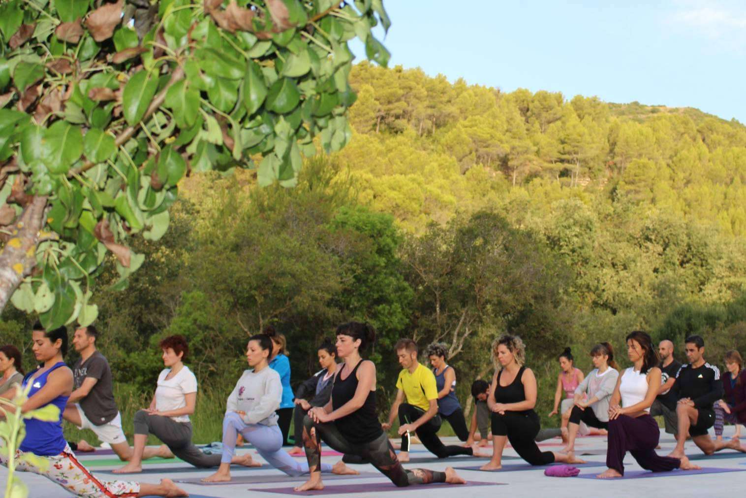 Retiros intensivos de yoga en la Escuela Mahashakti