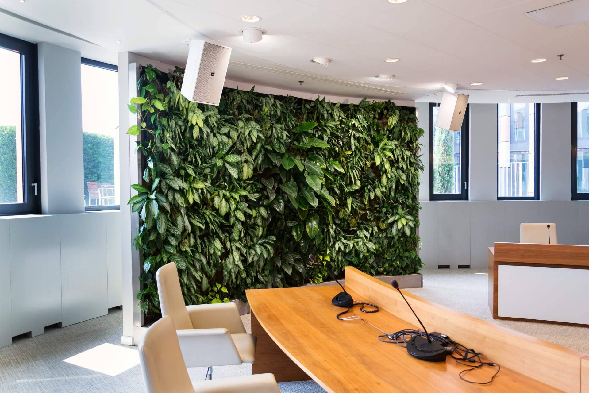 Las ventajas de las plantas de pared colgantes de JardinVertical.es