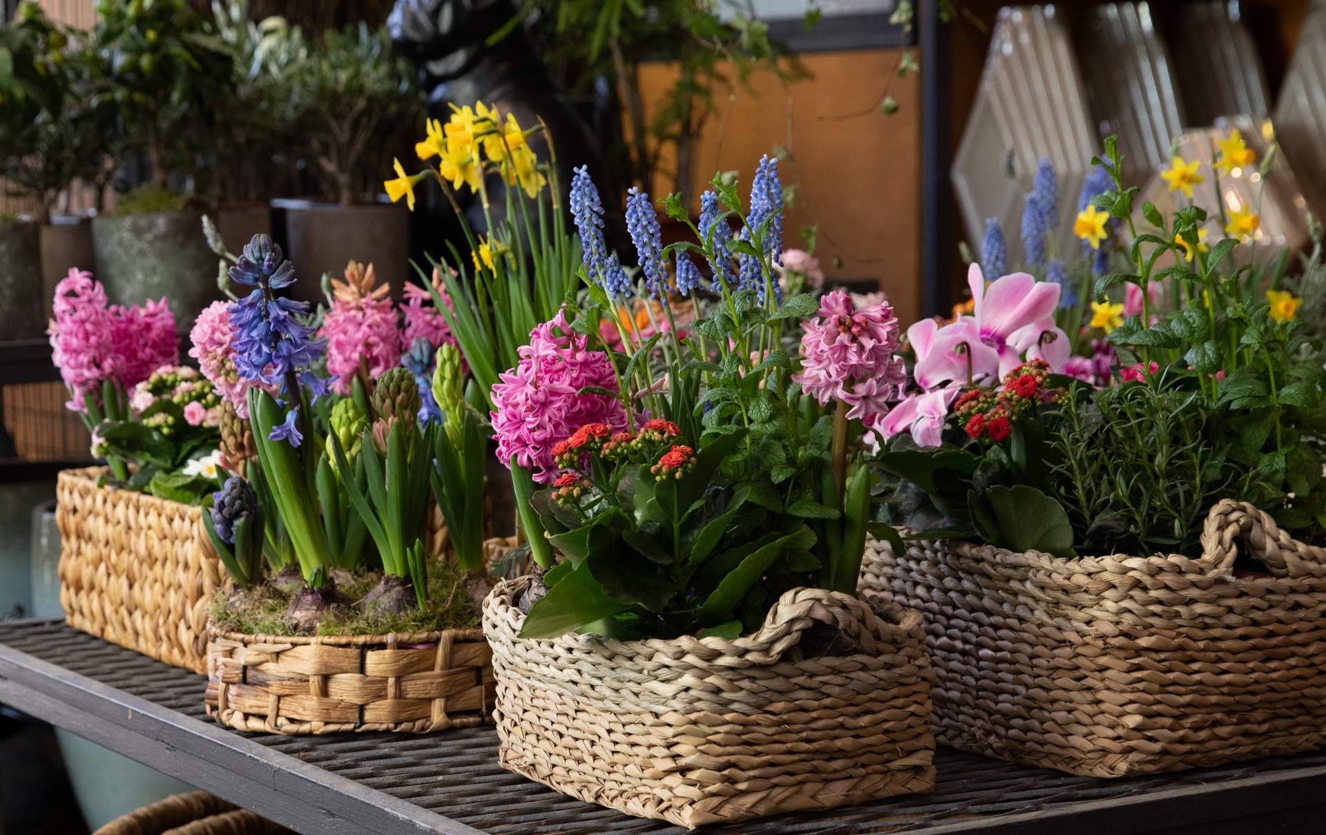 Hogar y Más y sus propuestas de decoración exterior para verano