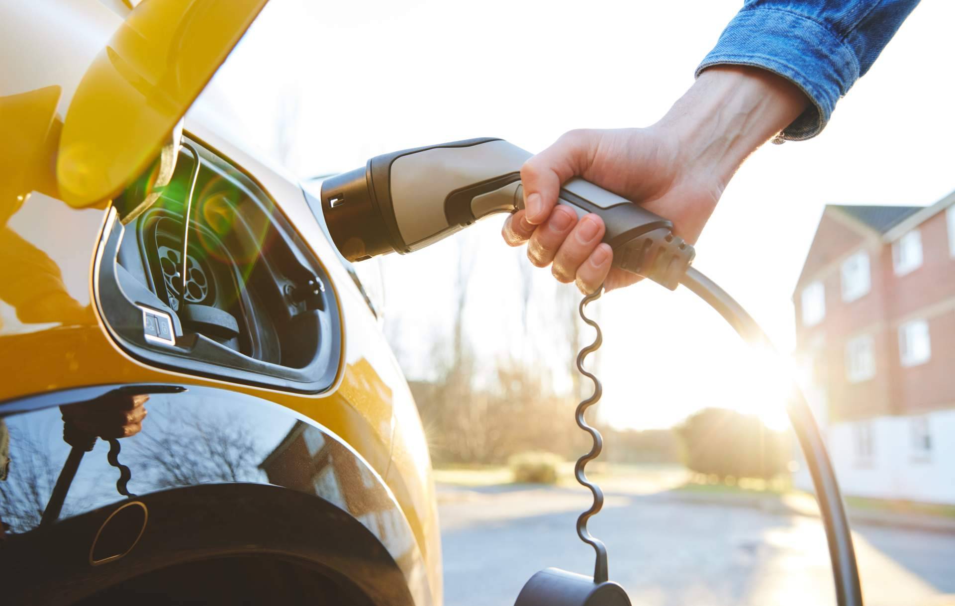 Multienergía Verde ofrece una plataforma para conectar a sus clientes con sus placas solares y puntos de carga de vehículo eléctrico