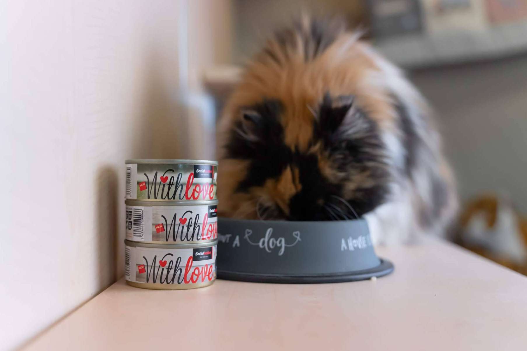 With Love, la nueva gama de comida húmeda para perros y gatos de Satisfaction
