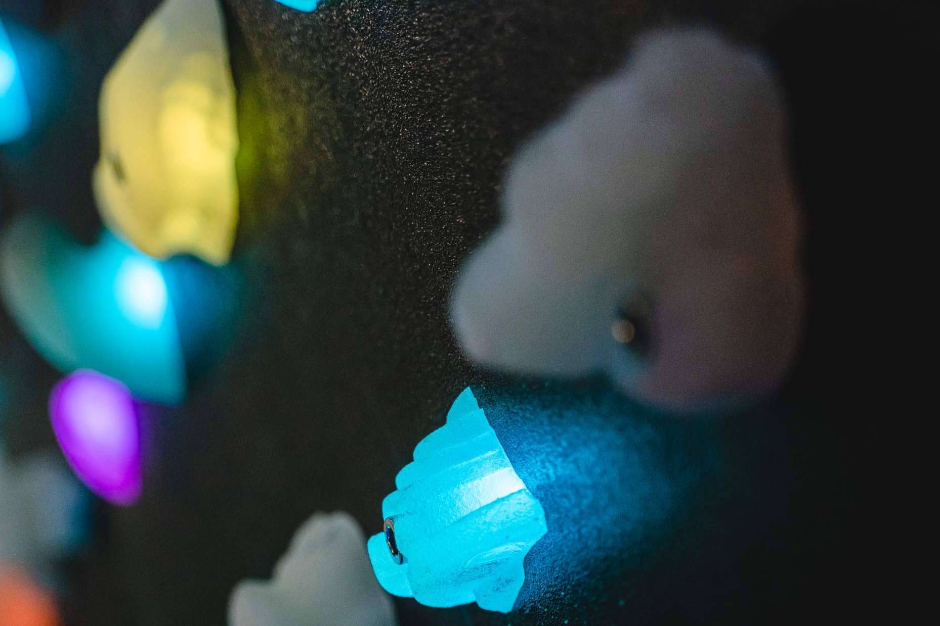 ¿Por qué se deben escoger los sistemas de escalada Shiny Wall?
