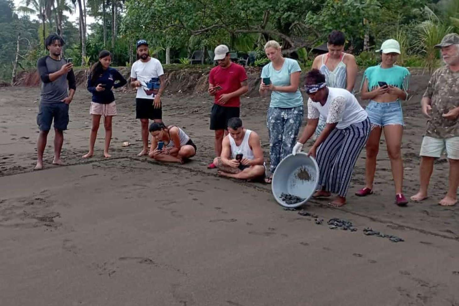 ¿Cómo vivir voluntariados ambientales internacionales? ONGVoluntariado