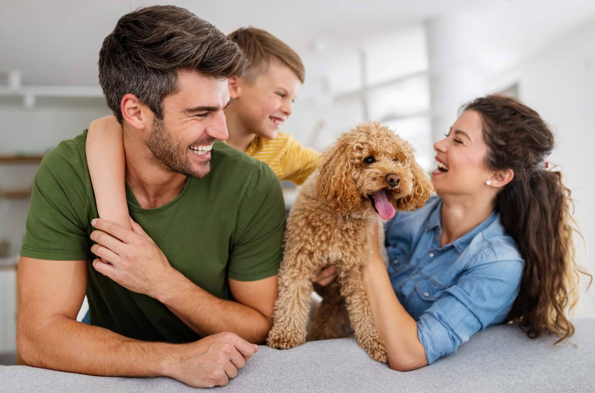 ClickGuau, la novedosa aplicación para compartir vídeos de mascotas