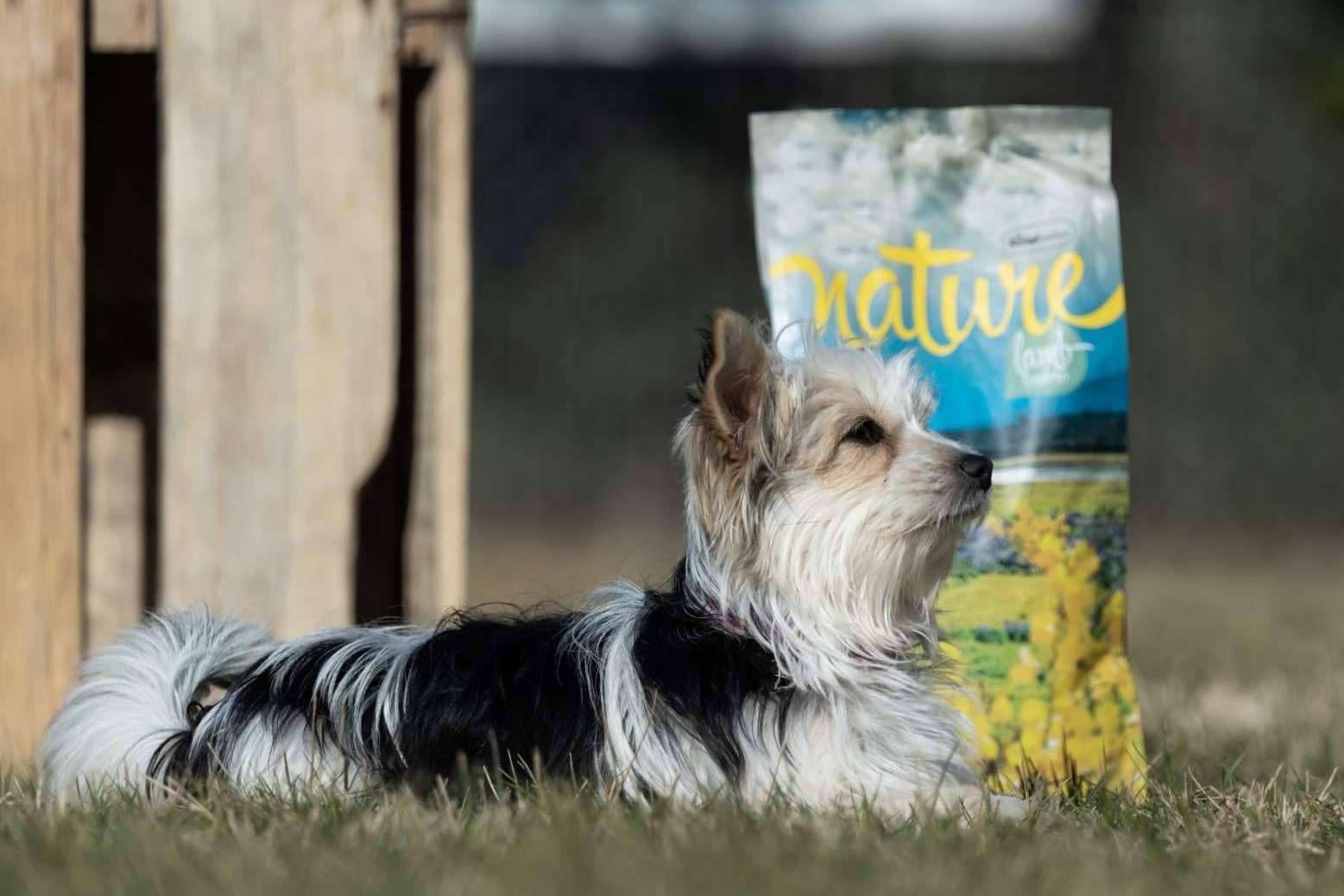 La gama Nature de Satisfaction, un pienso hipoalergénico para perros
