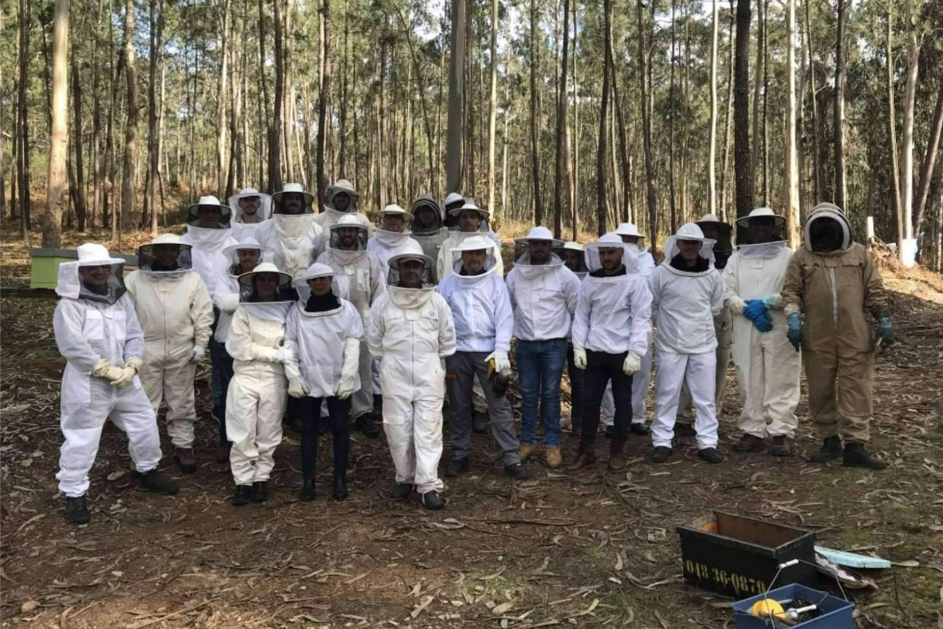 ¿En qué consiste la apiterapia con apitoxina?, por Cursos Apicultura