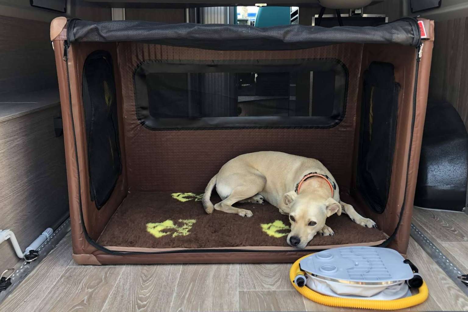Activans ofrece el alquiler de autocaravanas en Girona para realizar viajes con perros