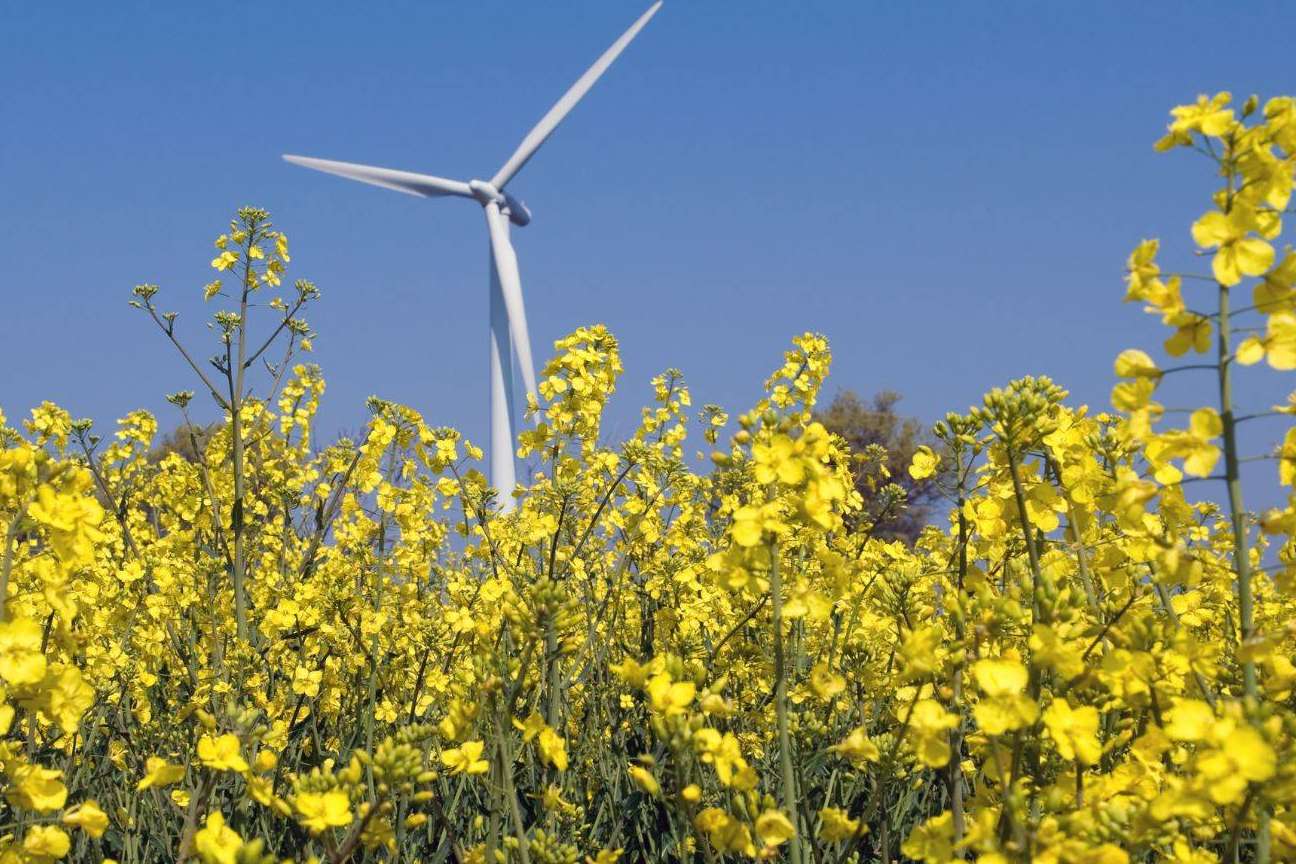 Asesoramiento energético para empresas gratuito, por Eneryou