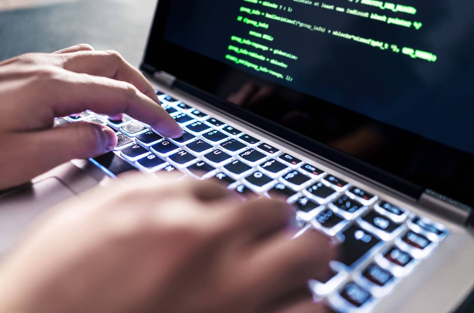 Empresa de desarrollo de software, Servinet