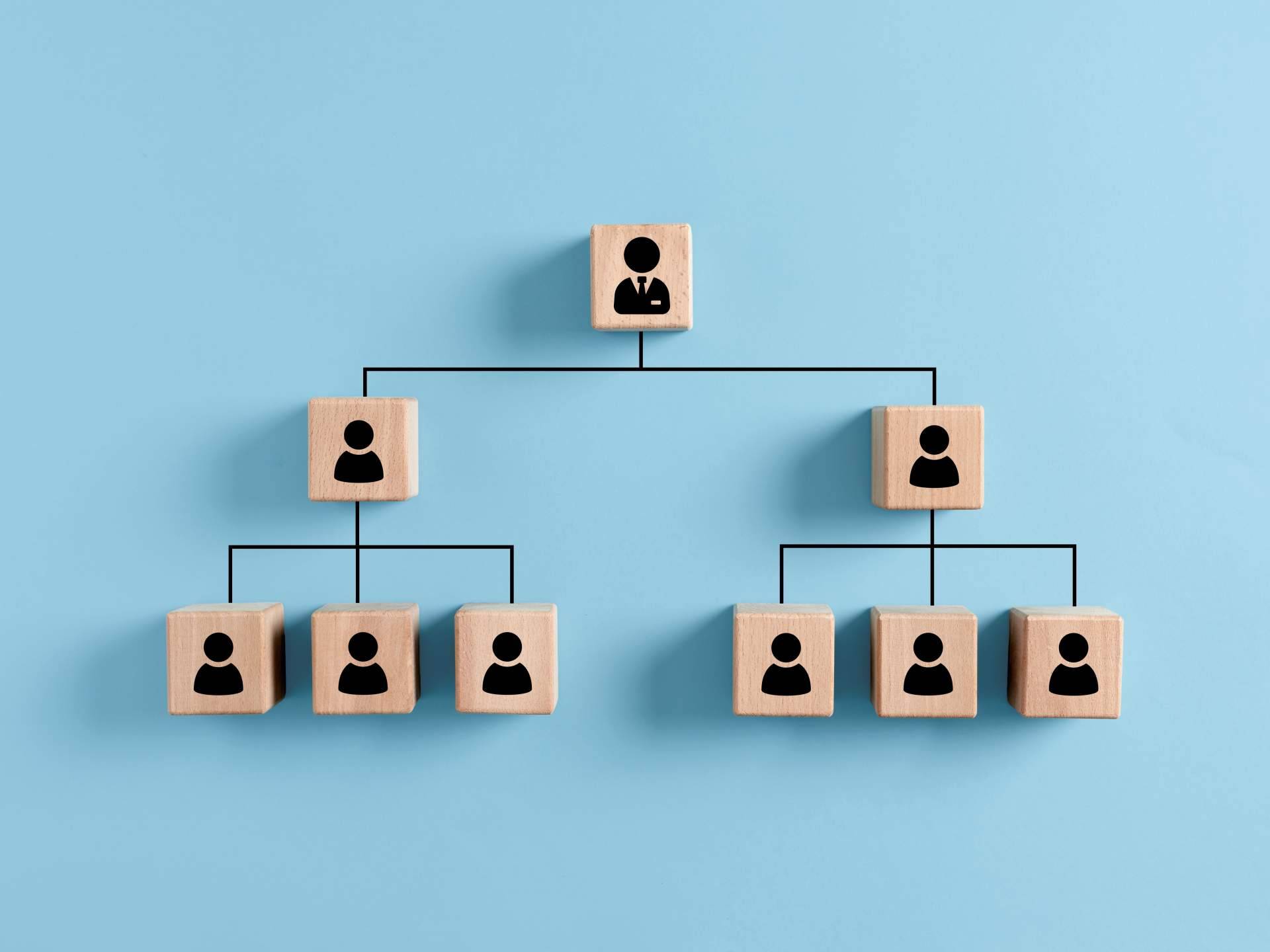 ISOTools acerca de los tipos de estructura organizacional