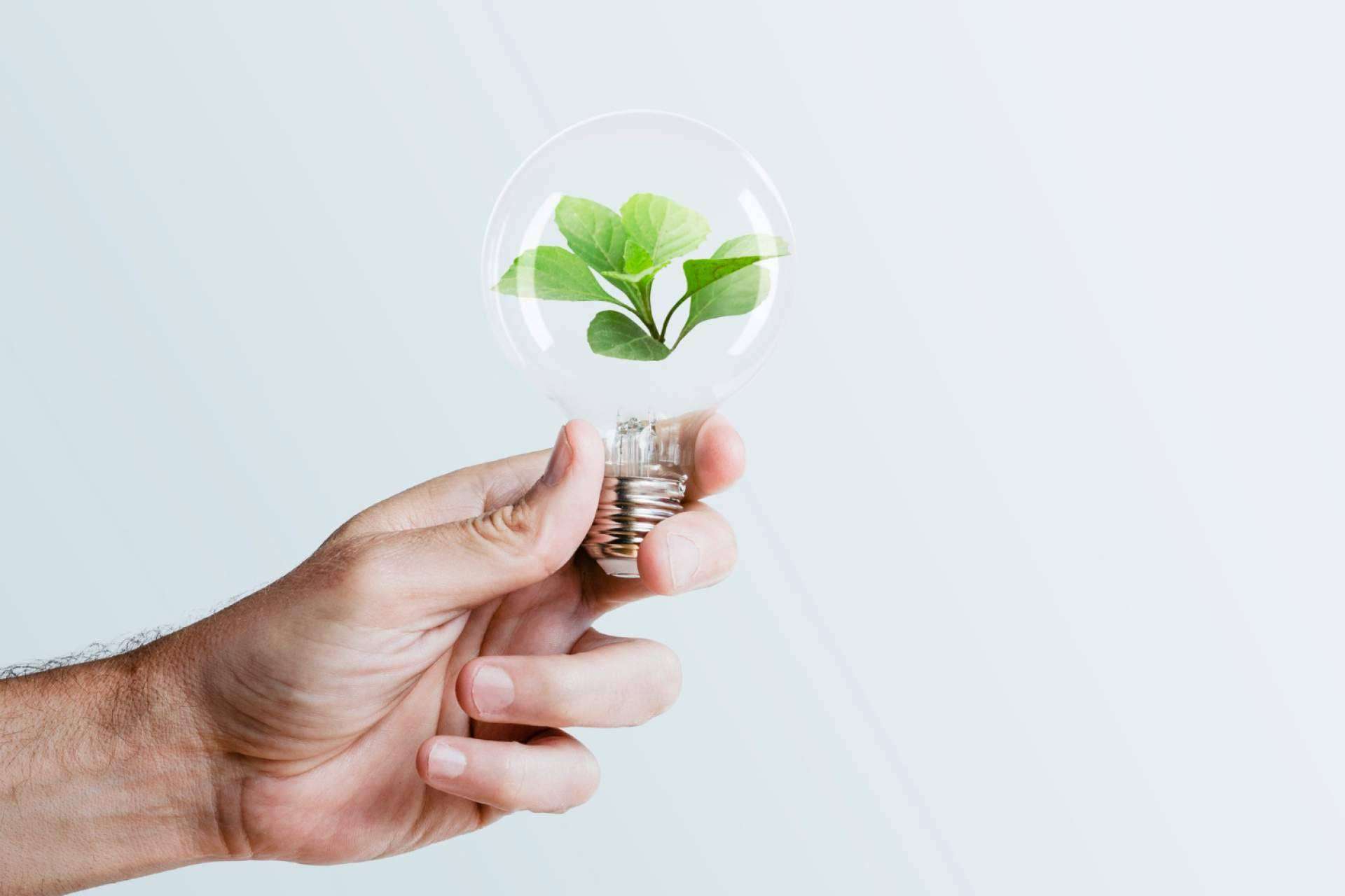 Soluciones de eficiencia energética en Granada, de la mano de Sinergia Sostenible