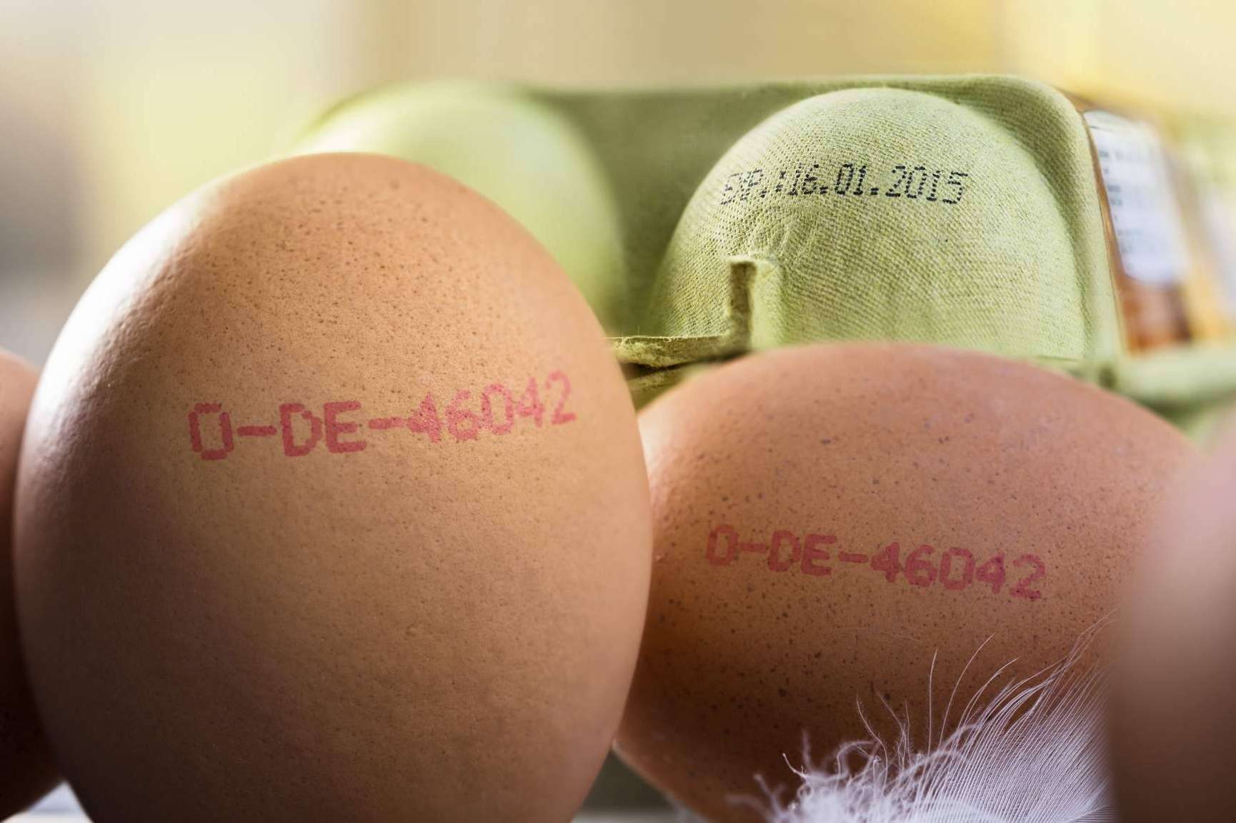¿Cómo etiquetar el producto alimentario en España?, por Trebol Group