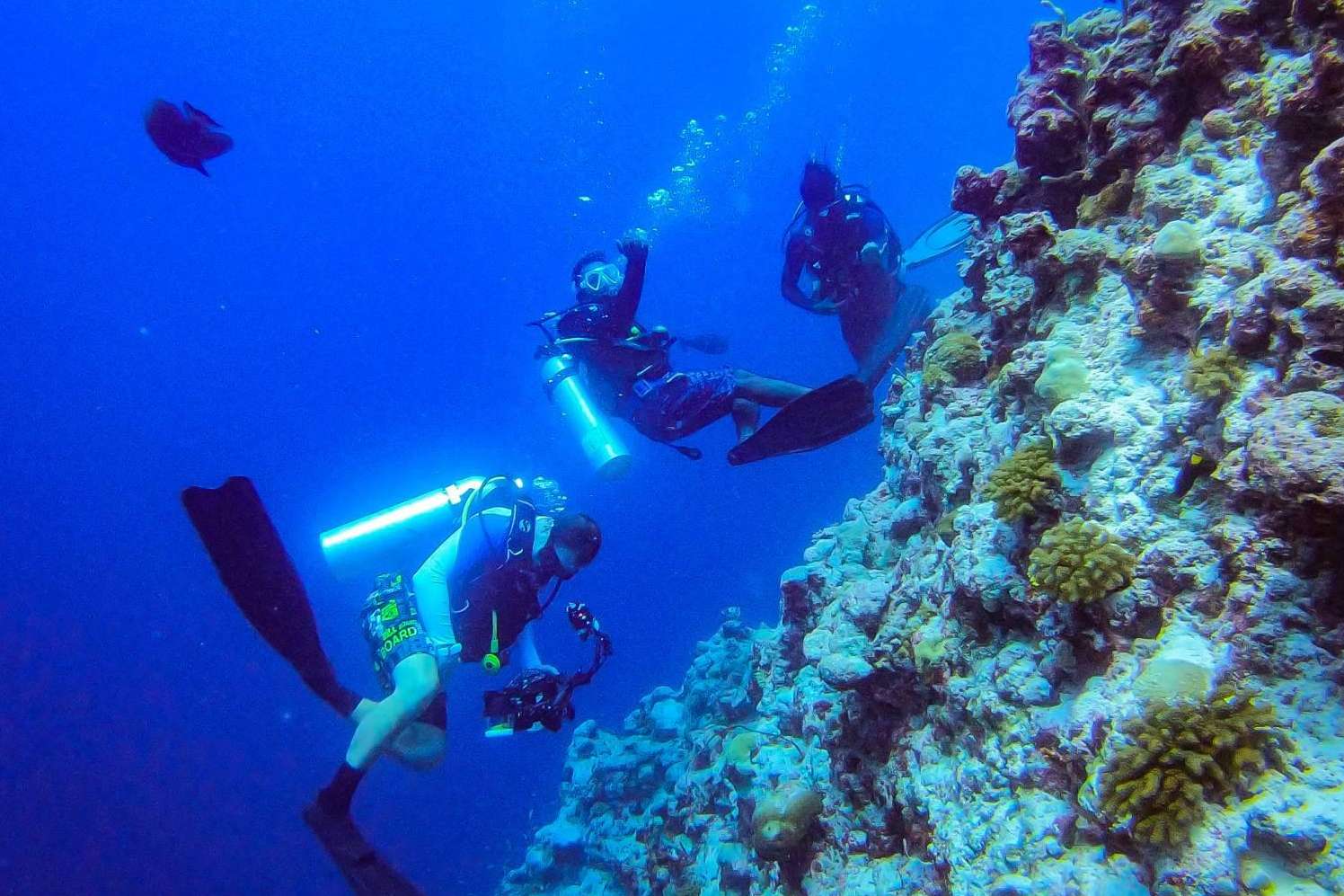 Rasdhoo es un destino ideal para aprender a bucear en el paraíso de Maldivas de la mano de Drop Dive Maldives