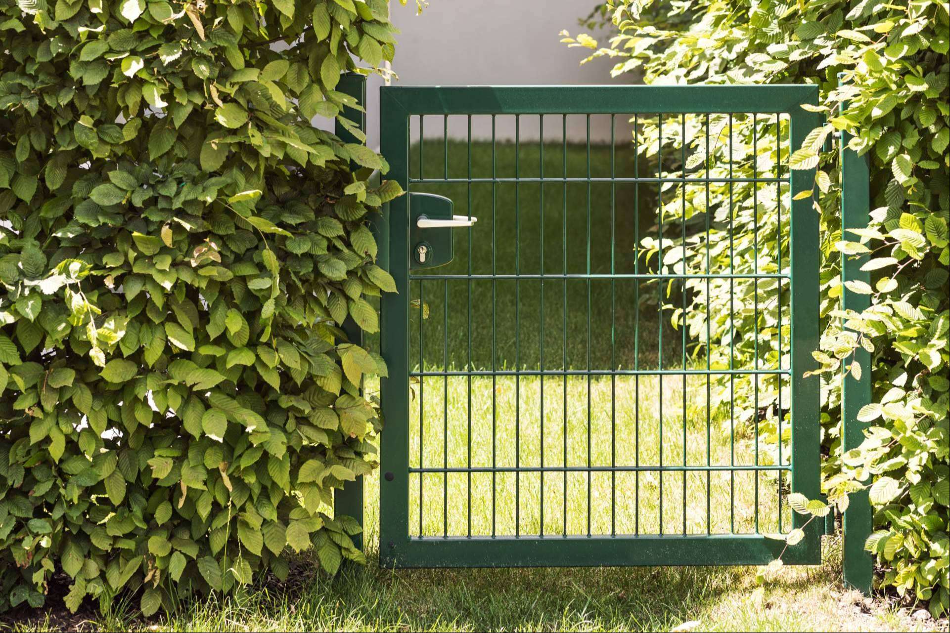 Securfix, lanza sus puertas mallazo siendo un referente en vallados metálicos