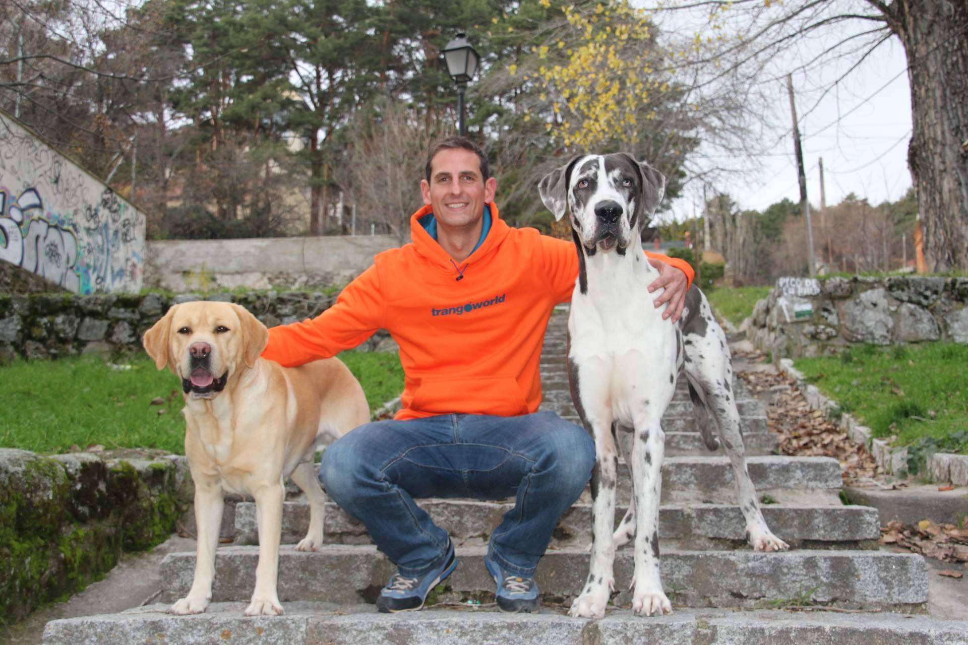 ¿Cómo crear una conexión con una mascota?, por Carlos Rives