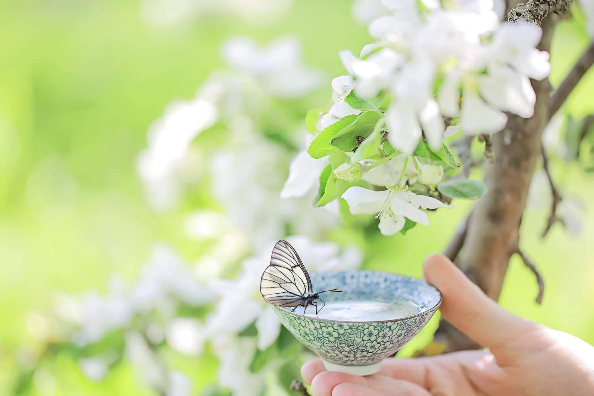 Una experiencia perfecta como complemento a encuentros, formaciones o workshops, Green mindfulness