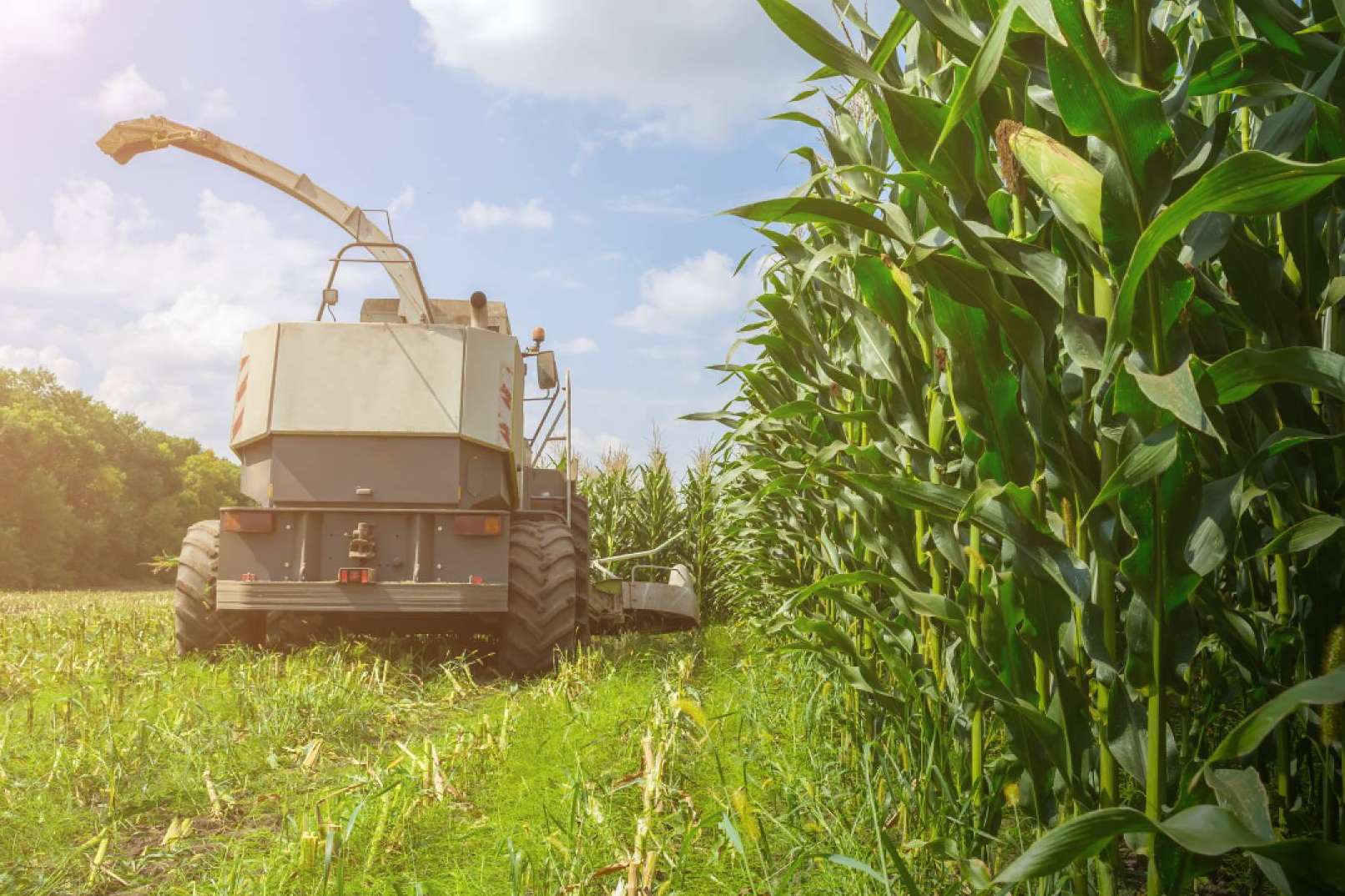 Ucoga y sus seguros para maquinaria agrícola