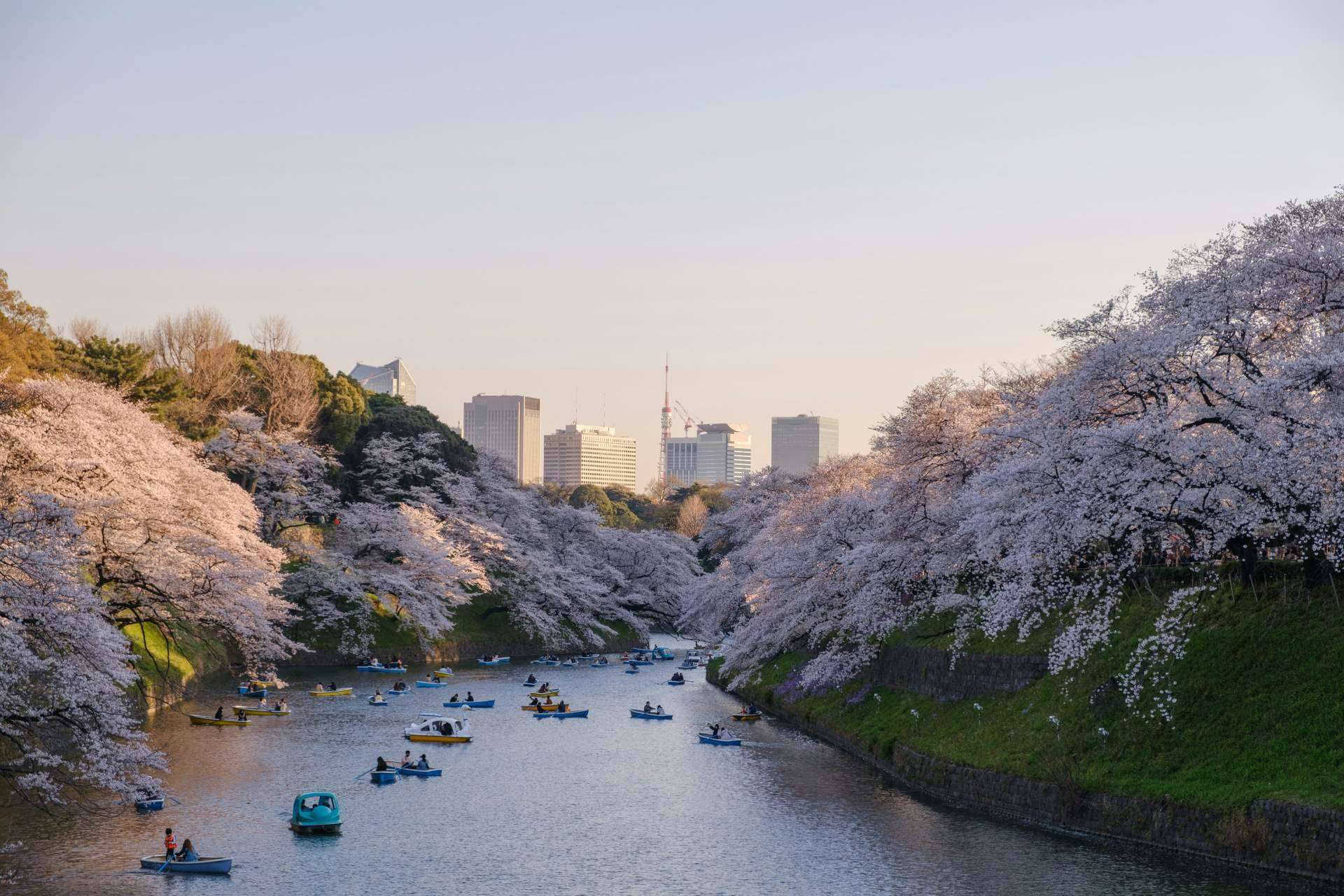 Viaxes Low Cost ofrece viajes a Asia low cost para conocer sus maravillas