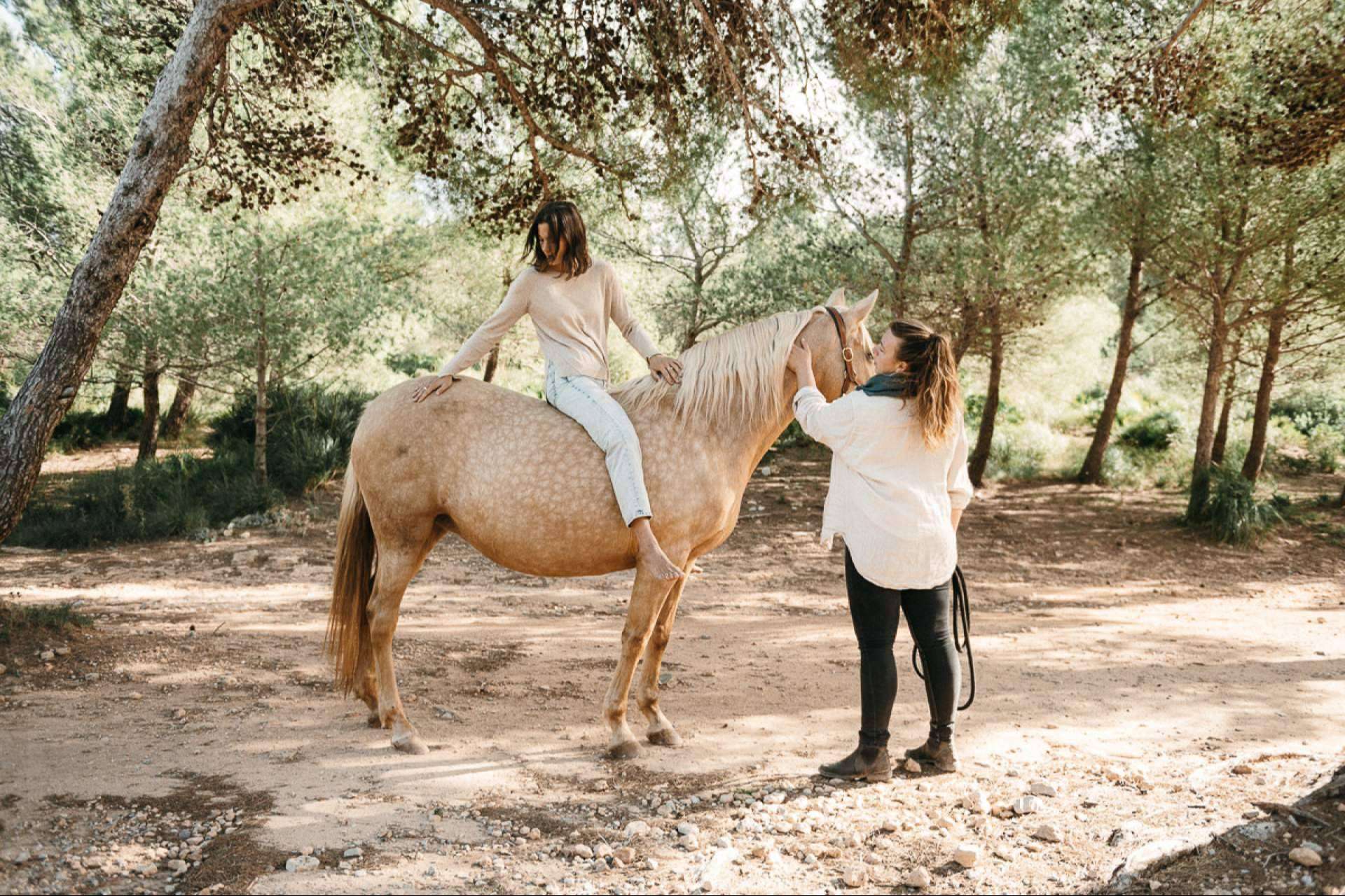 Reducción y gestión de estrés a través de coaching asistido por caballos