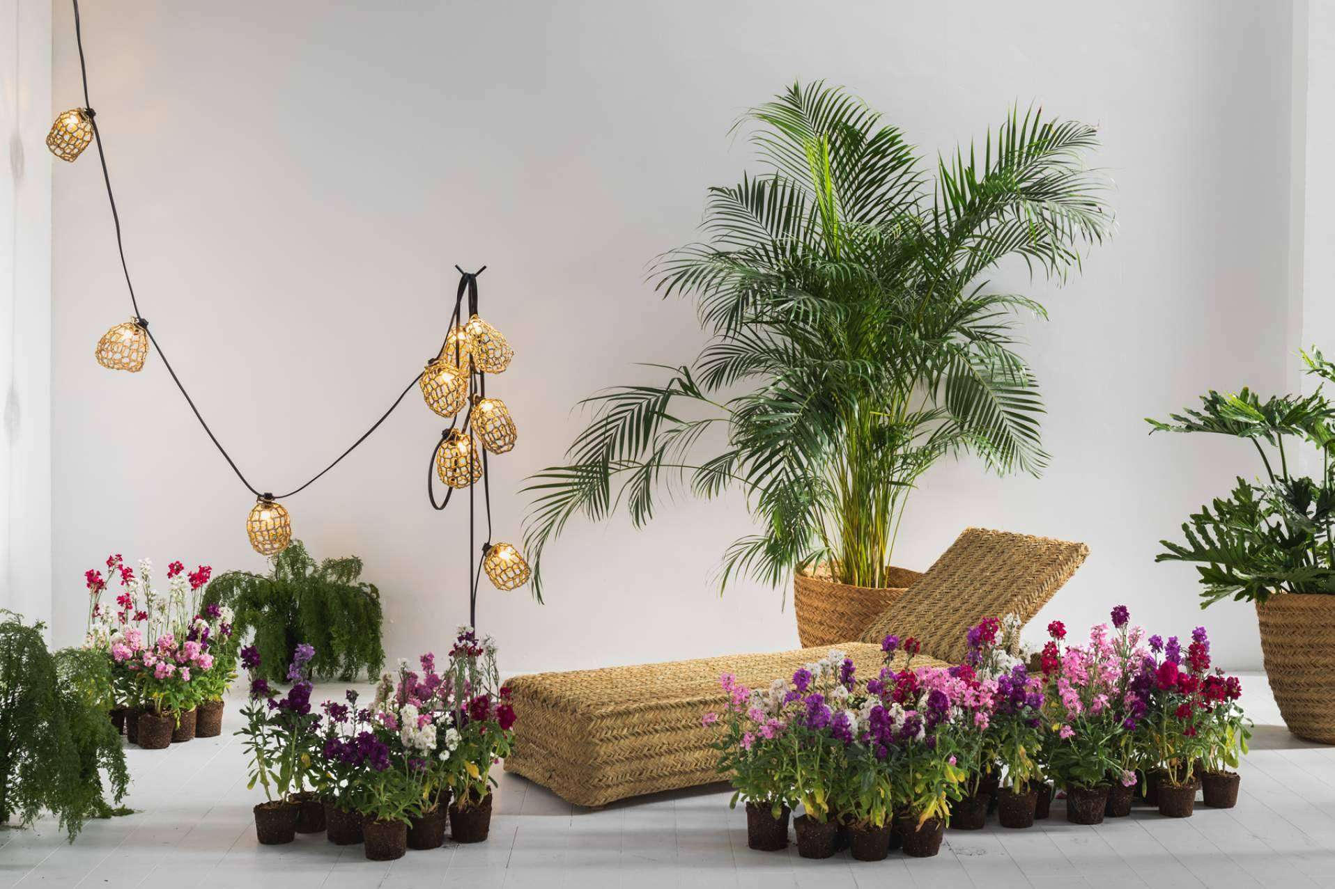 4 guirnaldas de luces decorativas para iluminar el verano