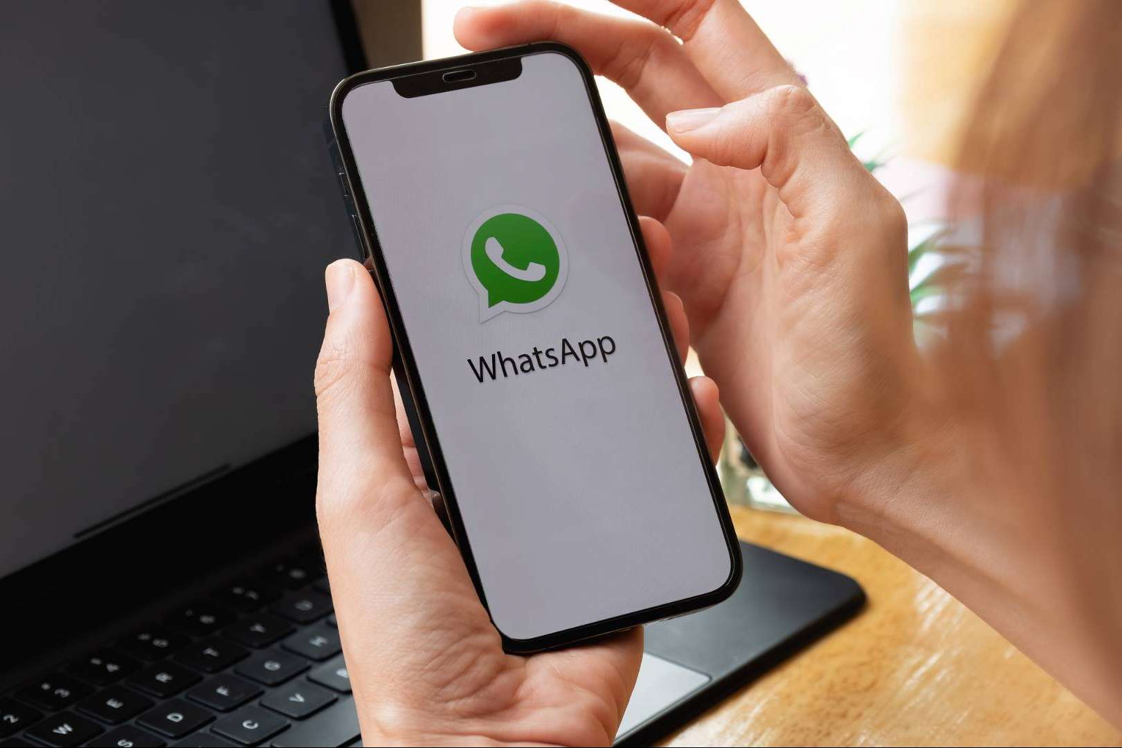 Perito WhatsApp, todo lo que se necesita saber