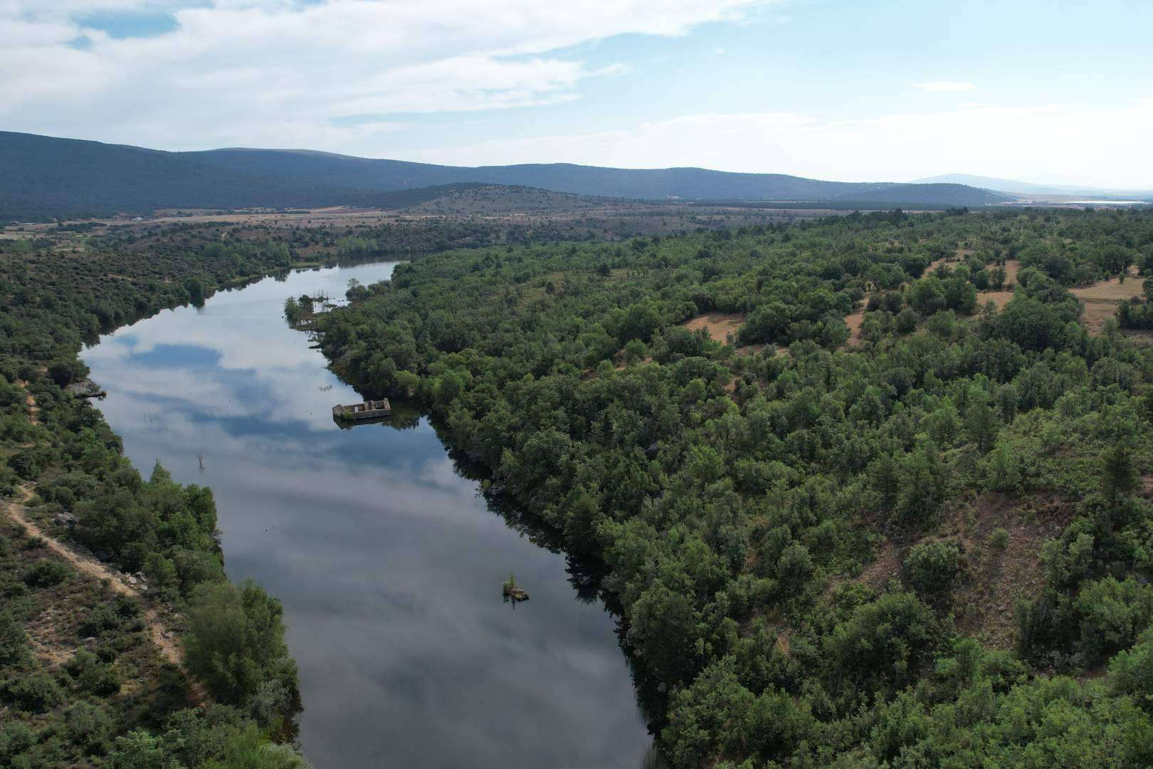 Calcular huella de carbono, registrarla y compensarla en el MITERD mediante el servicio especializado de CO₂ Gestión