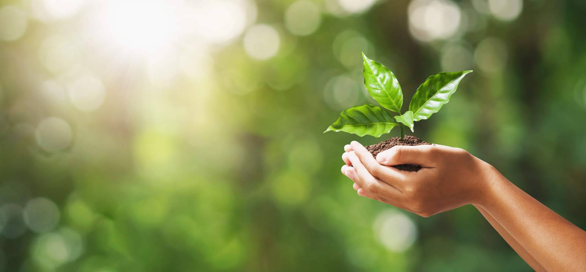 La apuesta de Multienergía Verde por la ecoeficiencia